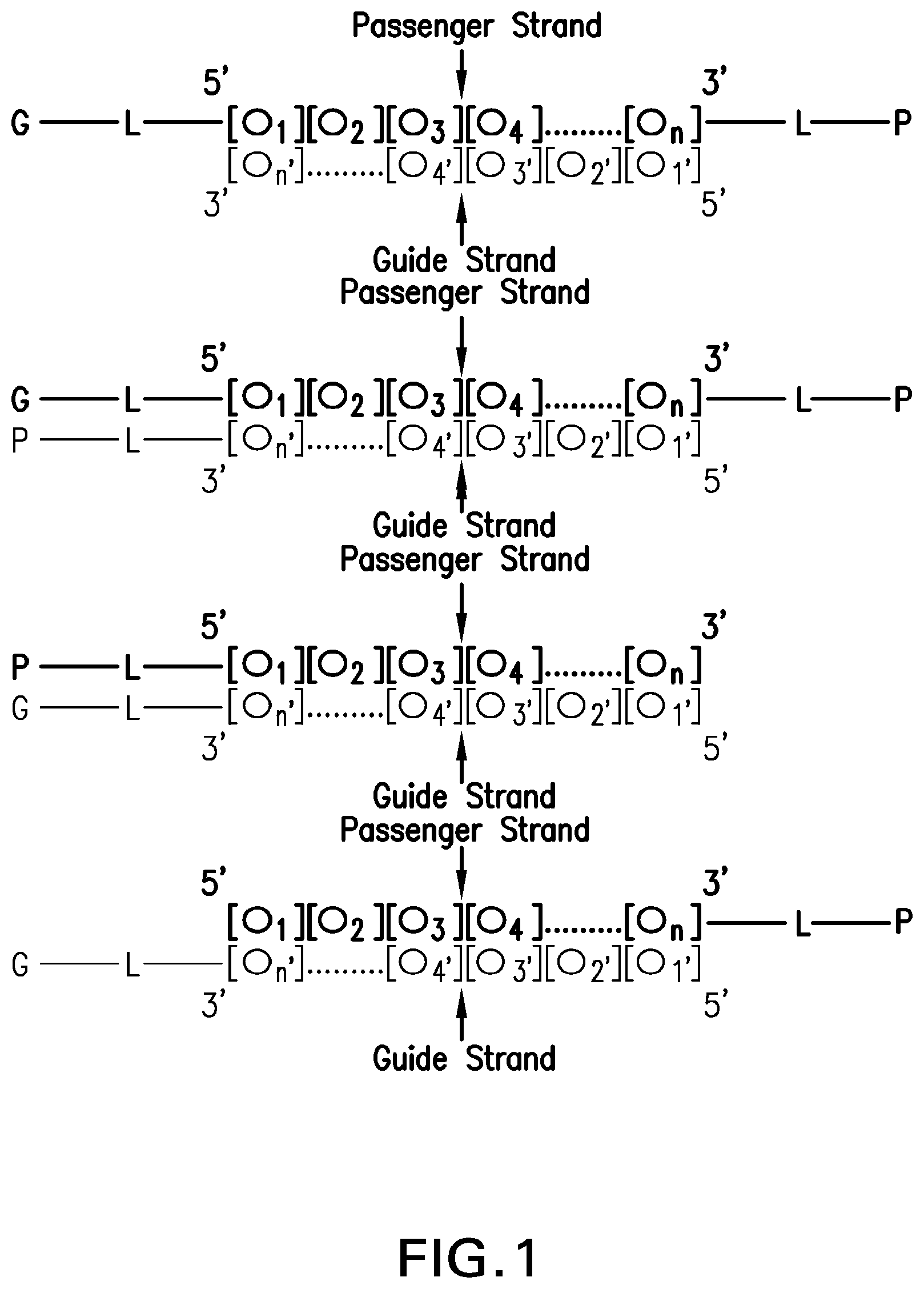 Patent US12304925 Figure 1 – Tetragalnac and peptide containing conjugates and methods for delivery of oligonucleotides