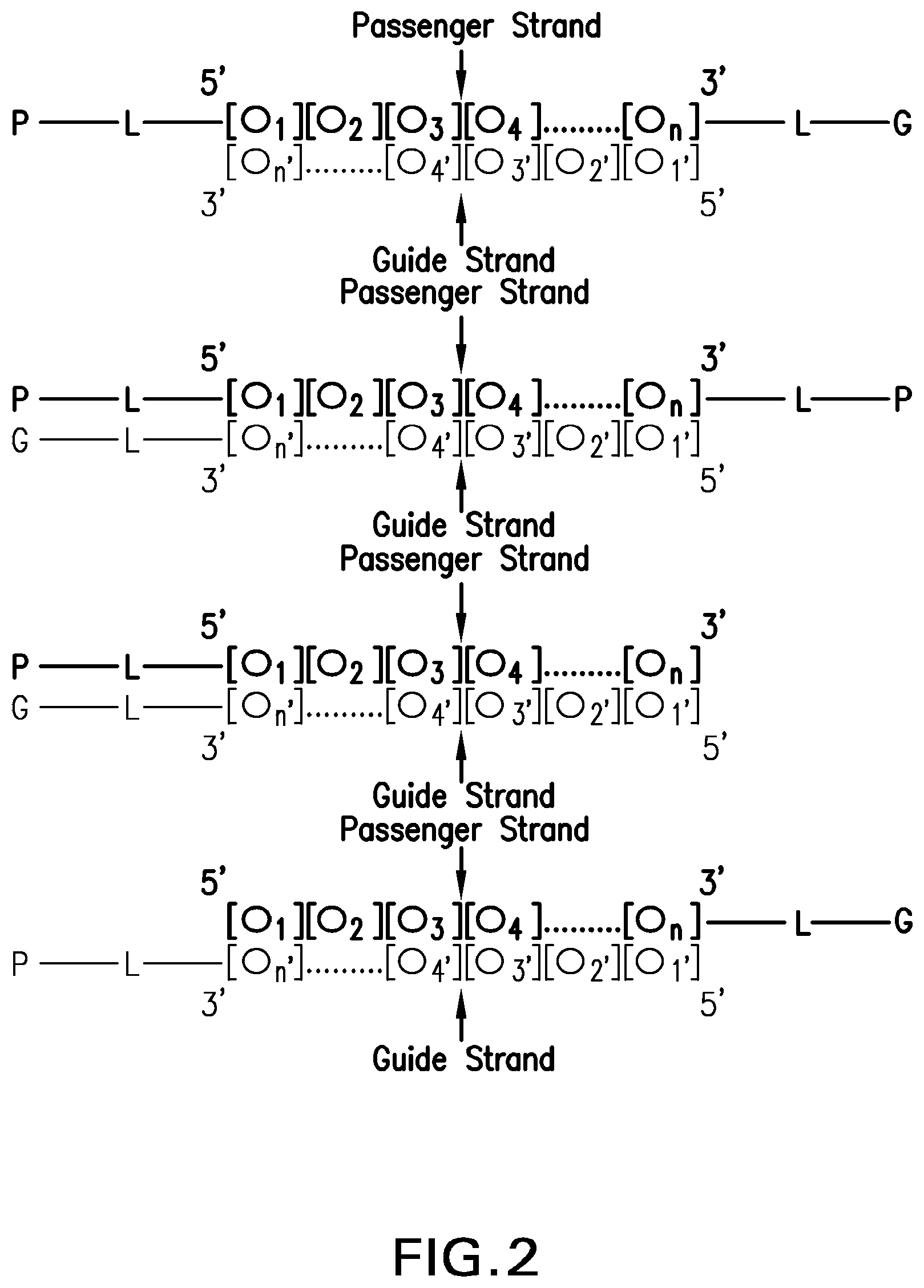 Patent US12304925 Figure 2 – Tetragalnac and peptide containing conjugates and methods for delivery of oligonucleotides