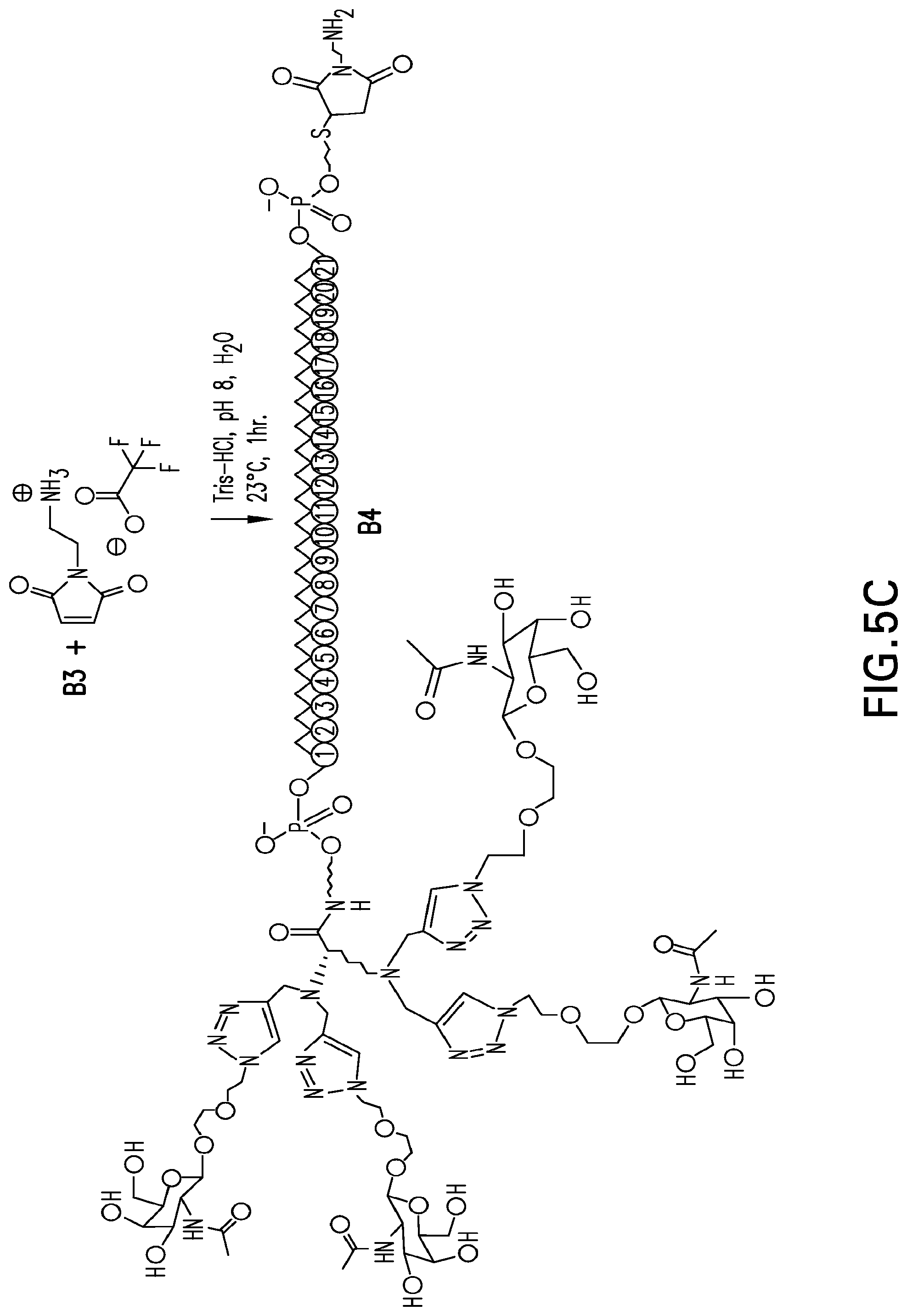 Patent US12304925 Figure 9 – Tetragalnac and peptide containing conjugates and methods for delivery of oligonucleotides