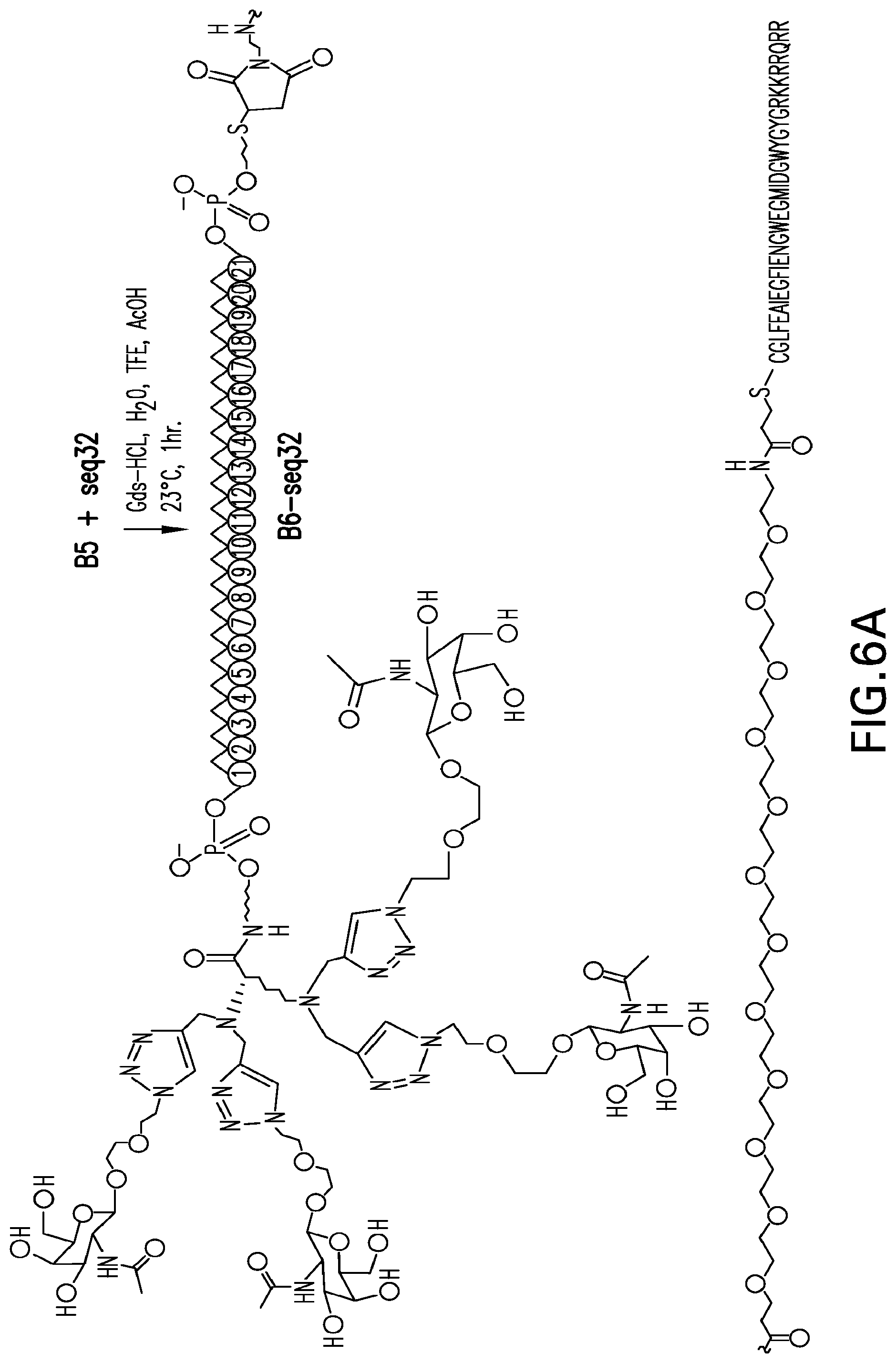 Patent US12304925 Figure 11 – Tetragalnac and peptide containing conjugates and methods for delivery of oligonucleotides