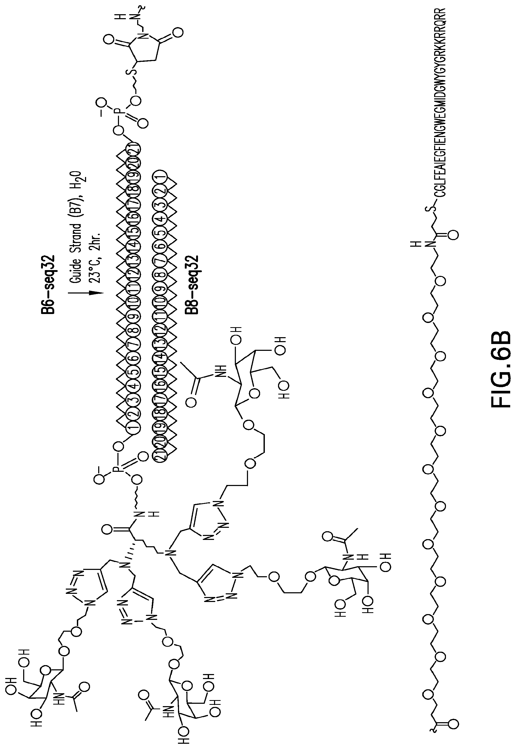 Patent US12304925 Figure 12 – Tetragalnac and peptide containing conjugates and methods for delivery of oligonucleotides