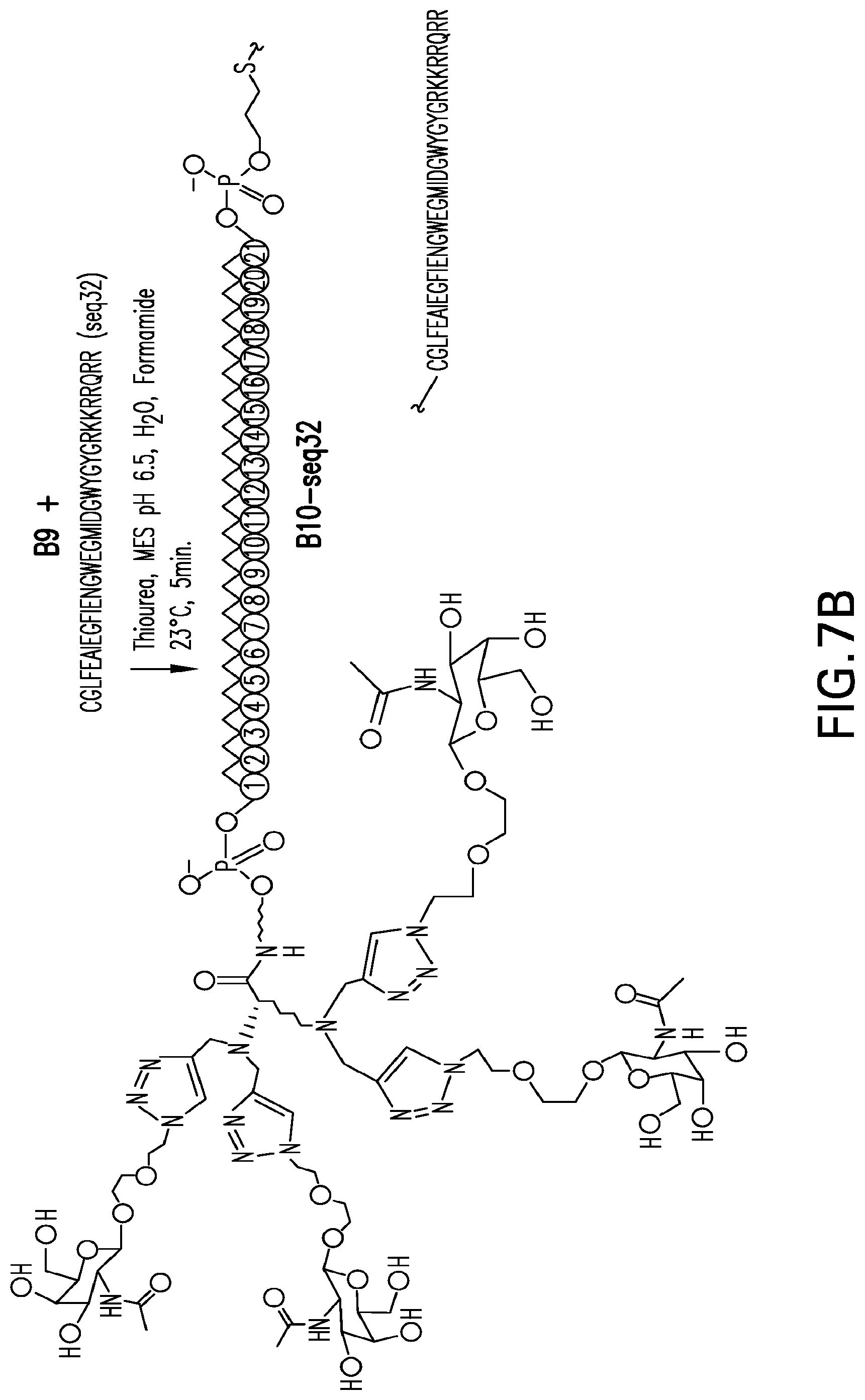Patent US12304925 Figure 14 – Tetragalnac and peptide containing conjugates and methods for delivery of oligonucleotides