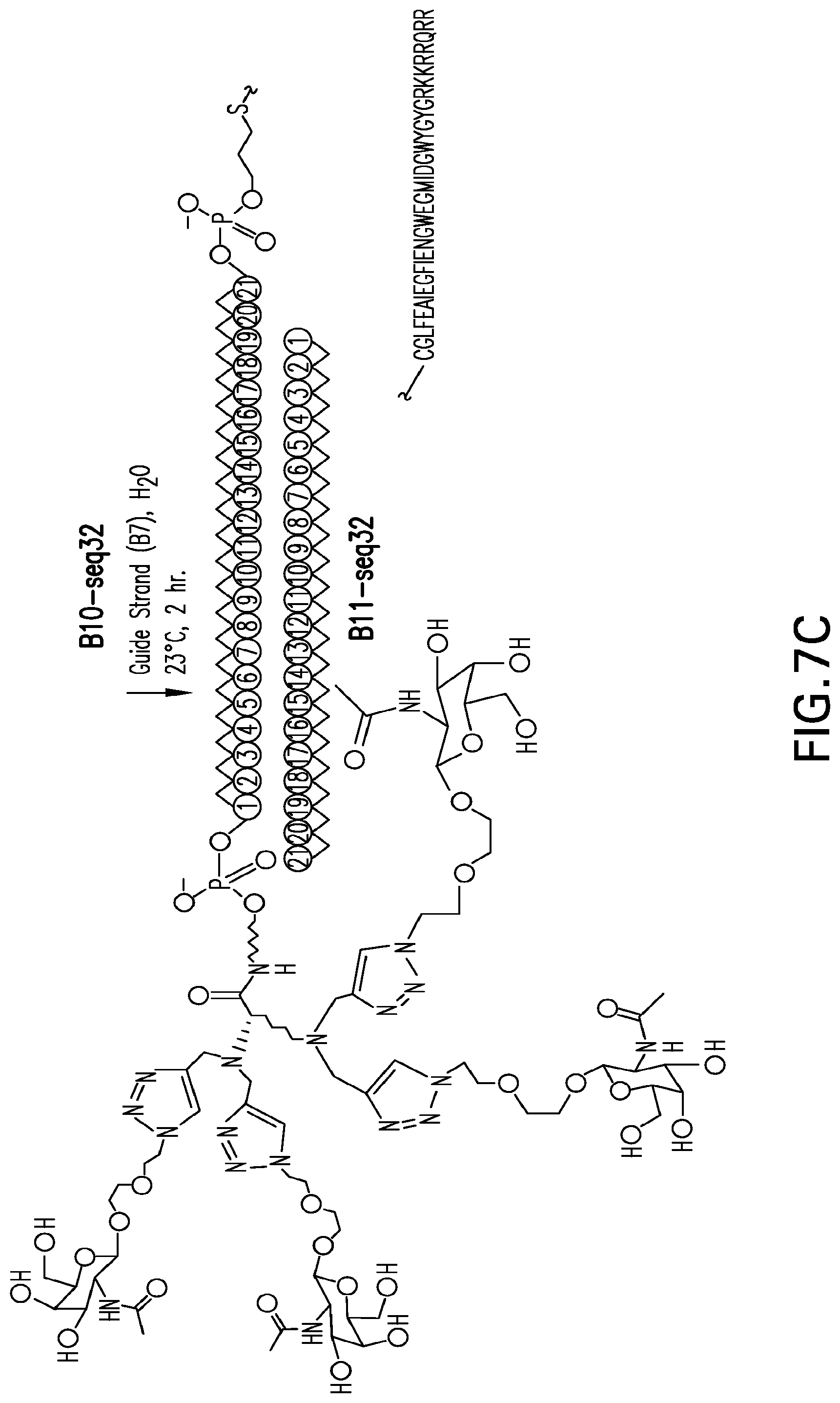 Patent US12304925 Figure 15 – Tetragalnac and peptide containing conjugates and methods for delivery of oligonucleotides