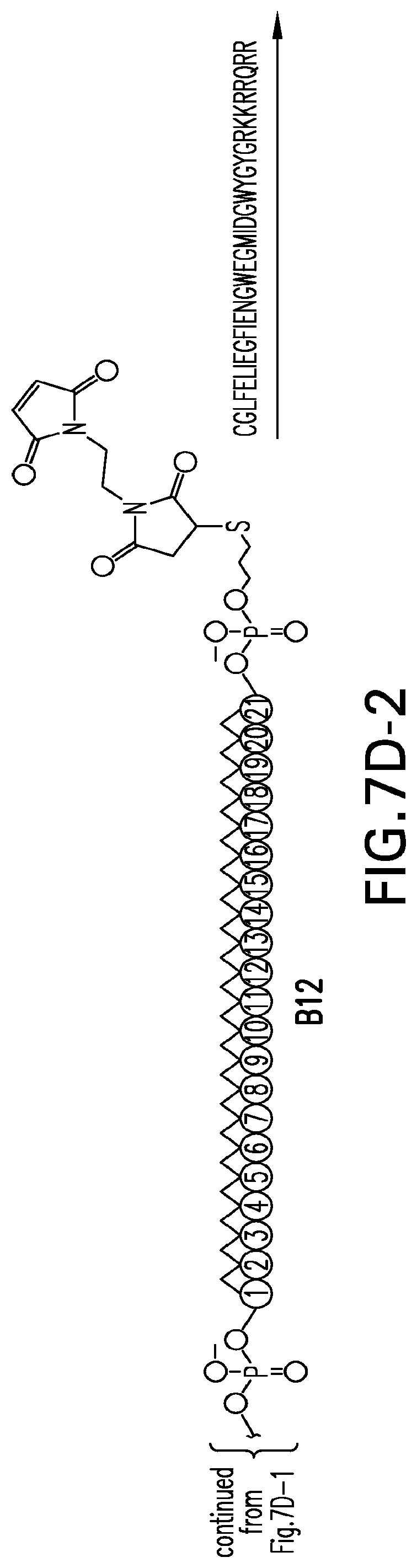 Patent US12304925 Figure 17 – Tetragalnac and peptide containing conjugates and methods for delivery of oligonucleotides