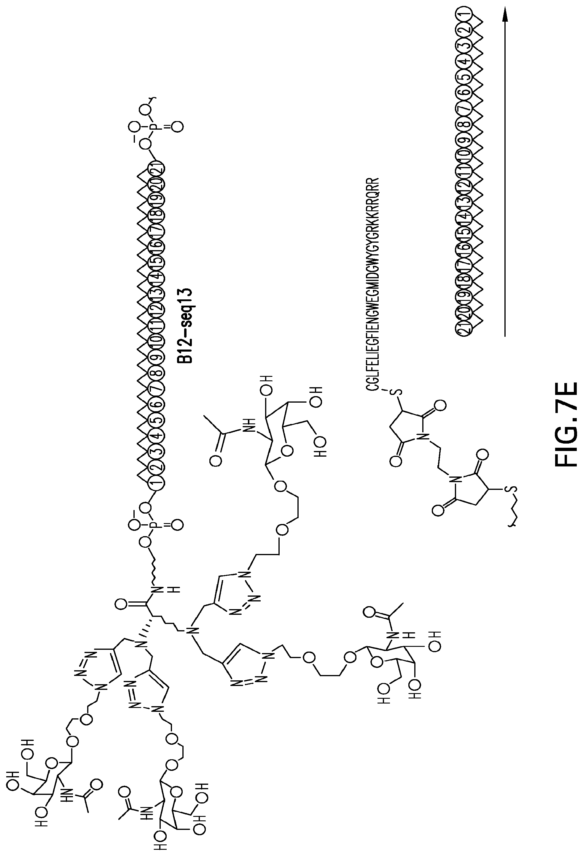 Patent US12304925 Figure 18 – Tetragalnac and peptide containing conjugates and methods for delivery of oligonucleotides