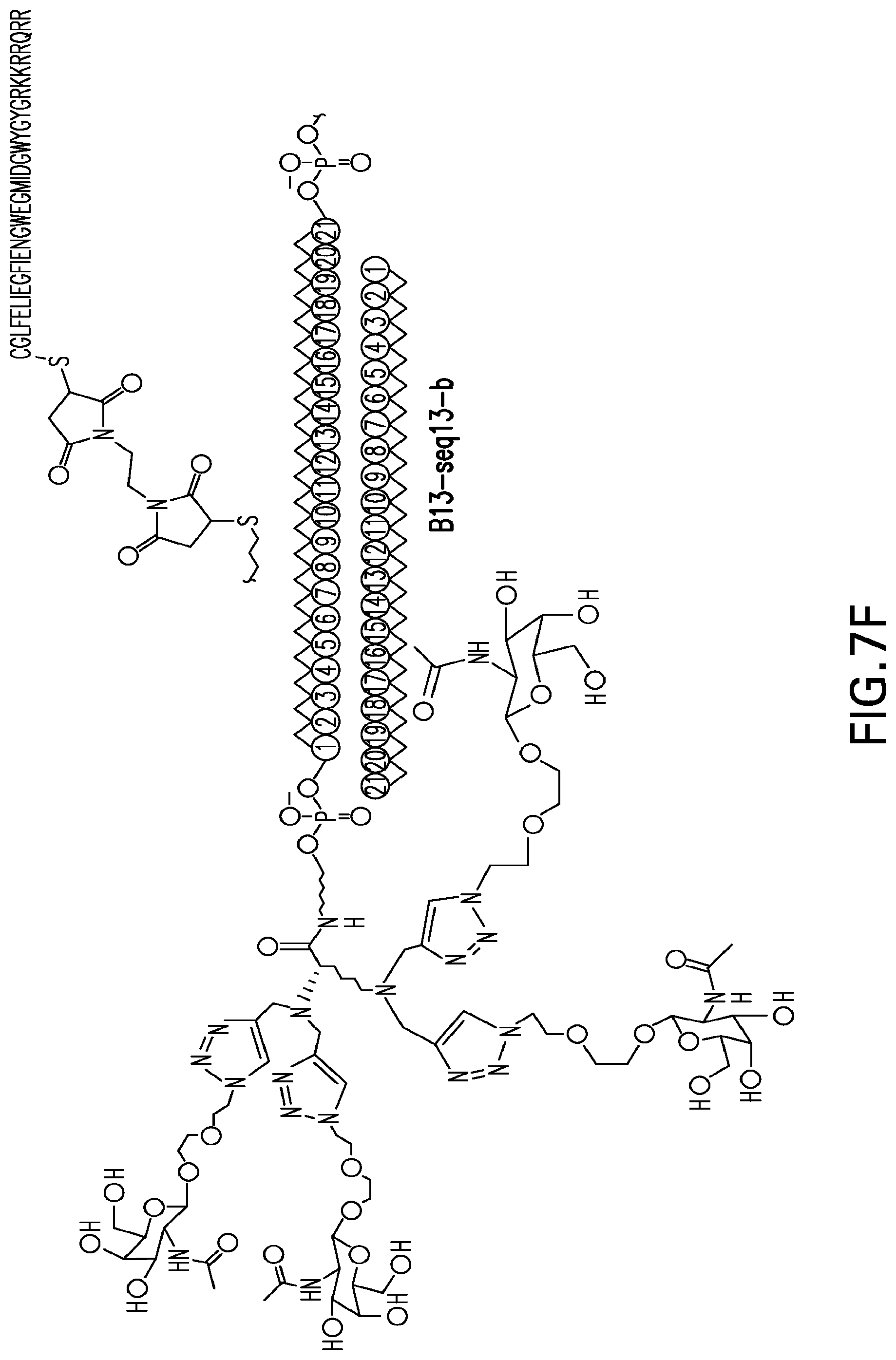 Patent US12304925 Figure 19 – Tetragalnac and peptide containing conjugates and methods for delivery of oligonucleotides
