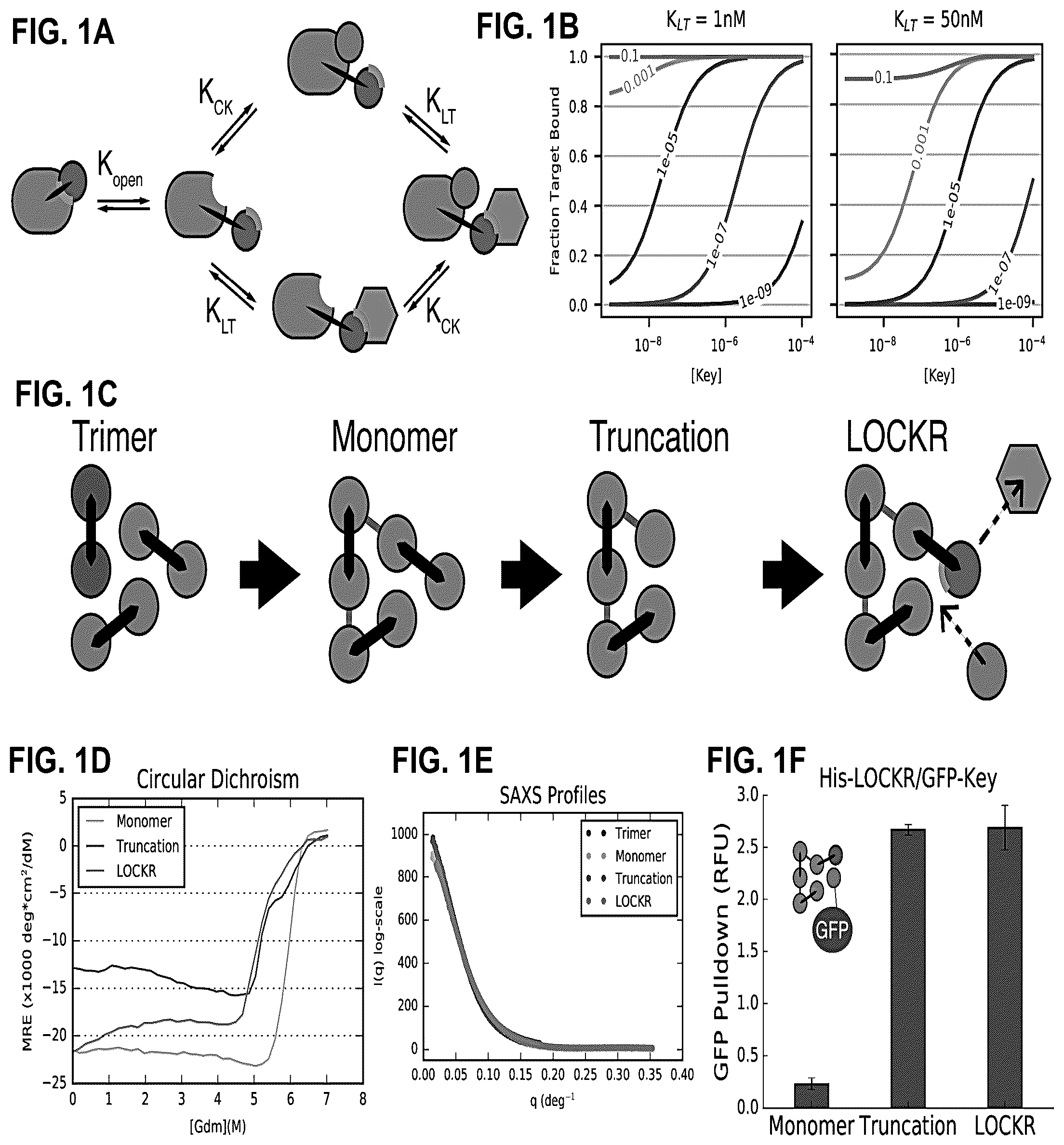 Patent US12304927 Figure 1 – De novo design of protein switches