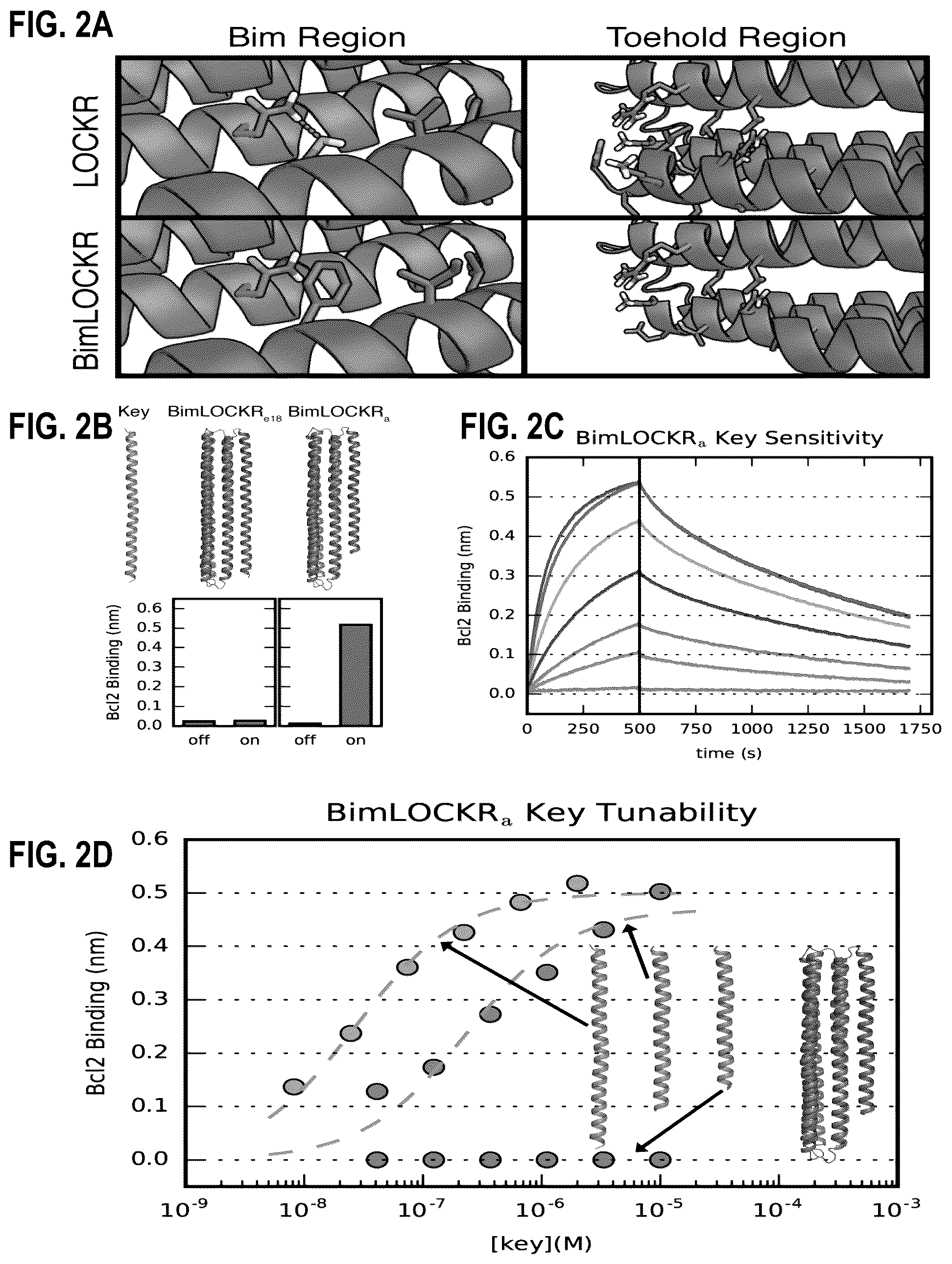 Patent US12304927 Figure 2 – De novo design of protein switches