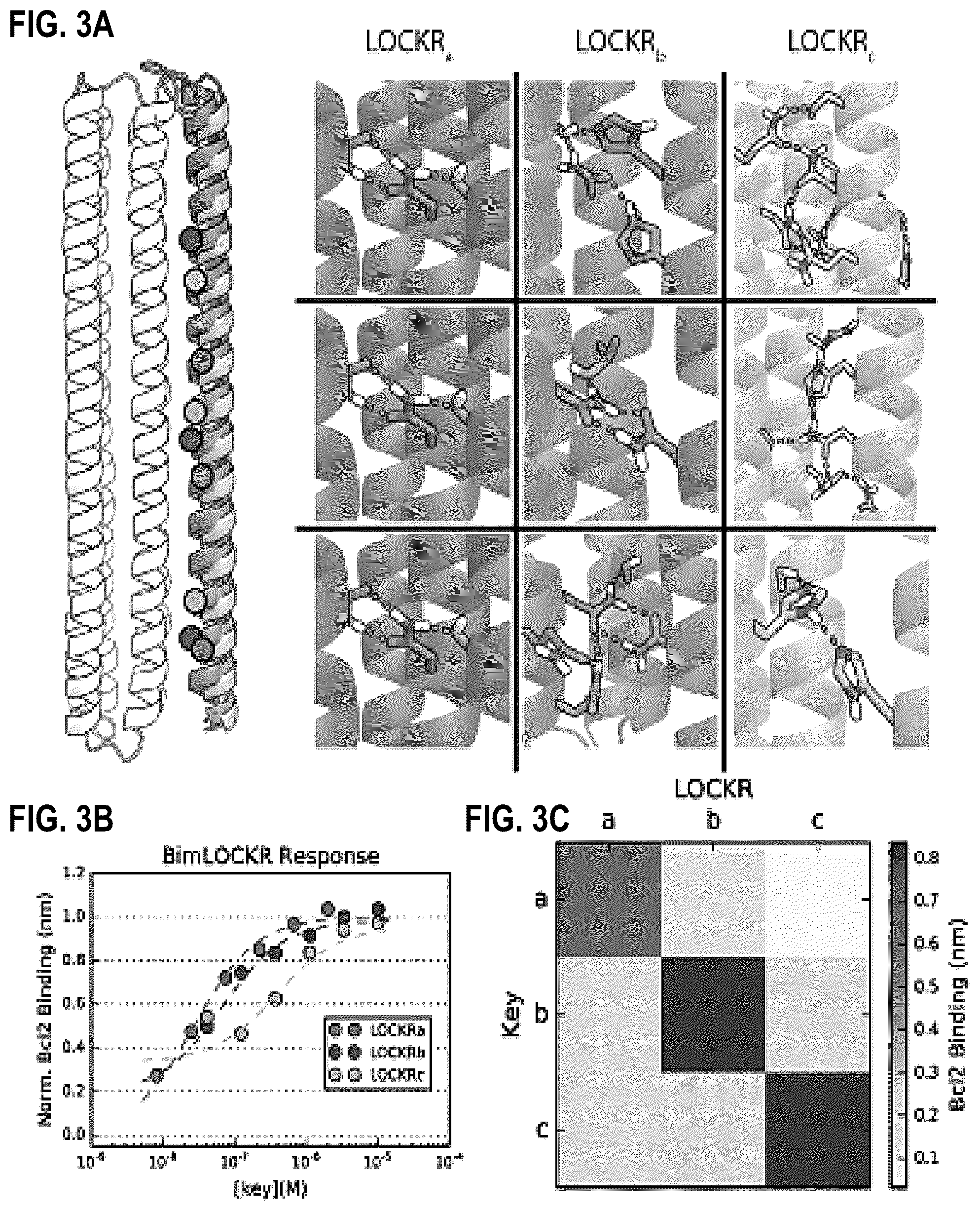 Patent US12304927 Figure 3 – De novo design of protein switches