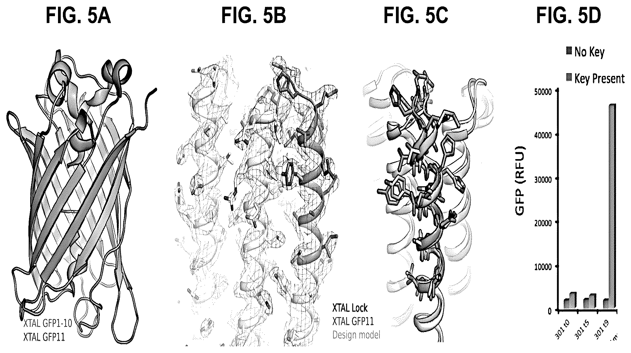 Patent US12304927 Figure 5 – De novo design of protein switches