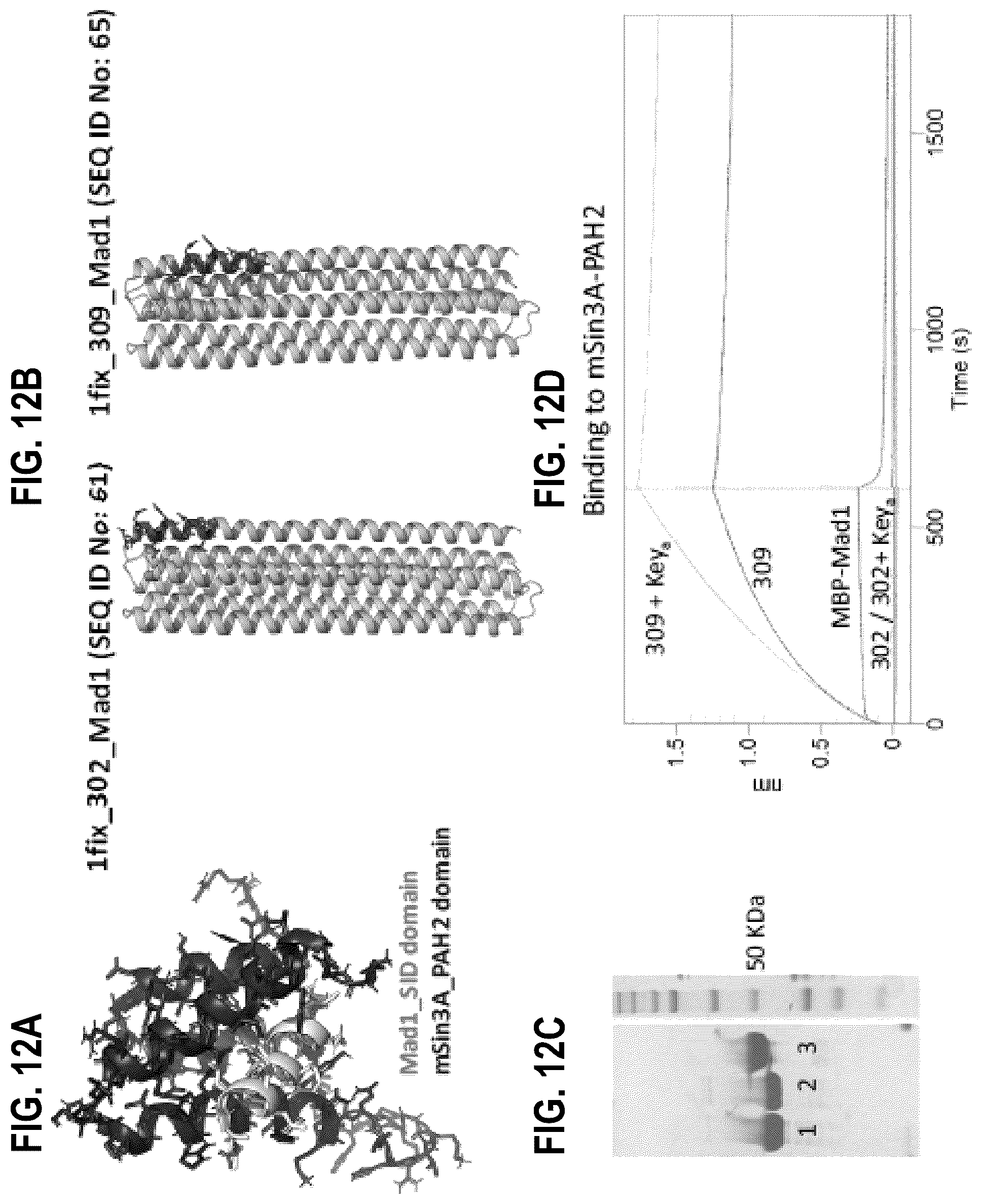 Patent US12304927 Figure 12 – De novo design of protein switches