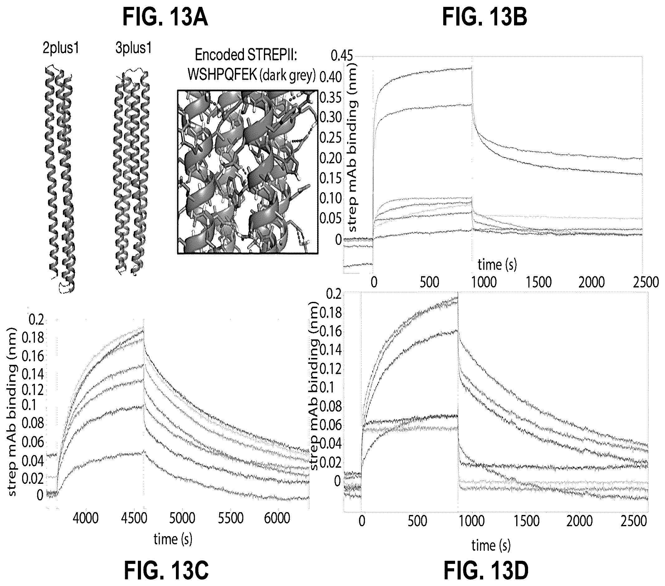 Patent US12304927 Figure 13 – De novo design of protein switches