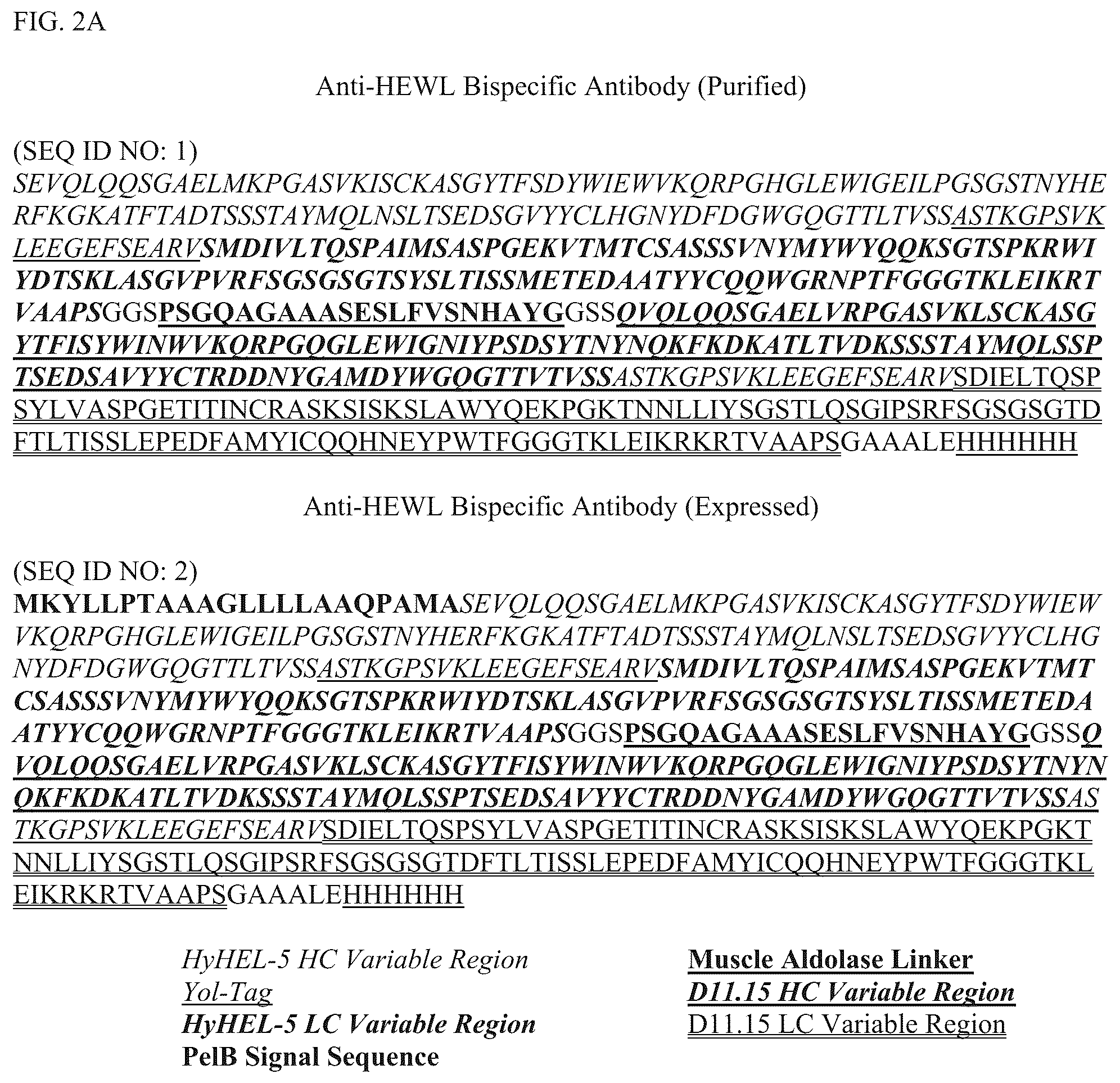 Patent US12304928 Figure 2 – Epitope restriction for antibody selection