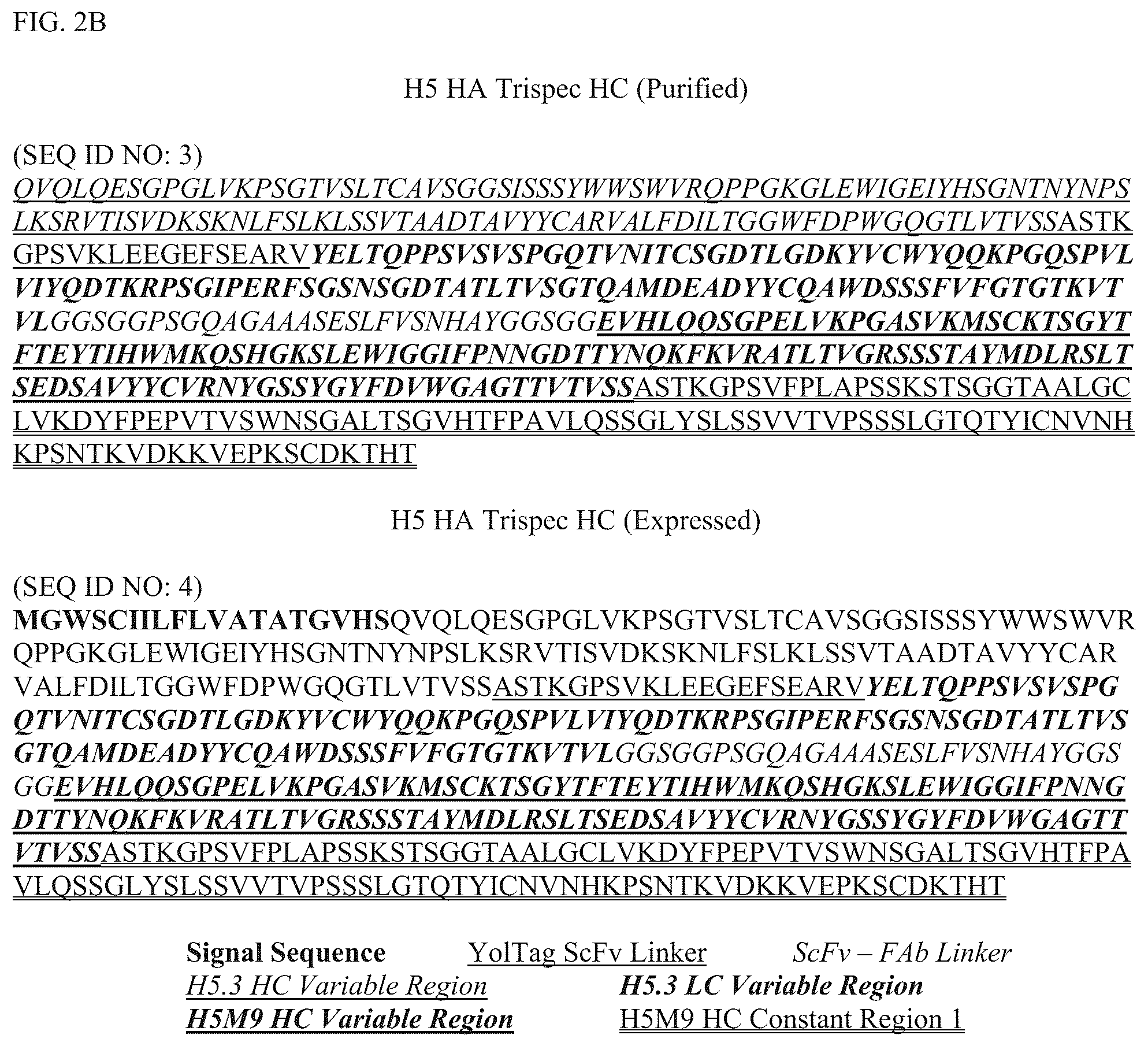 Patent US12304928 Figure 3 – Epitope restriction for antibody selection