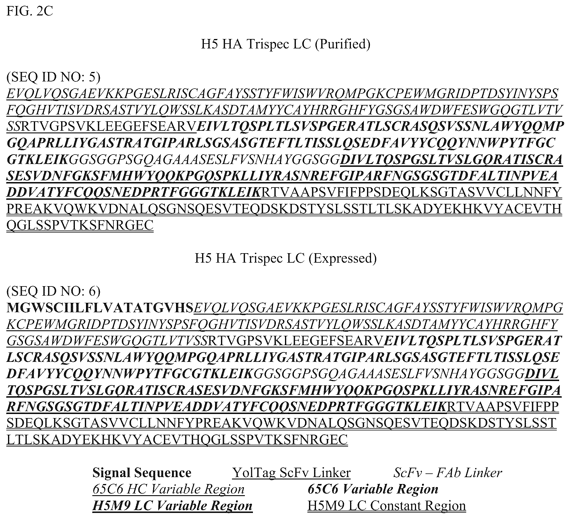 Patent US12304928 Figure 4 – Epitope restriction for antibody selection