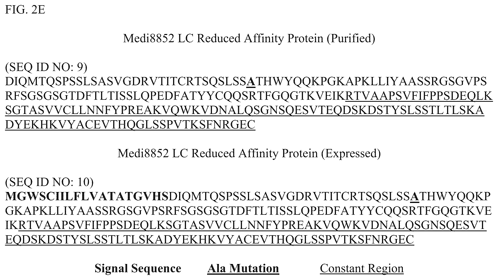 Patent US12304928 Figure 6 – Epitope restriction for antibody selection