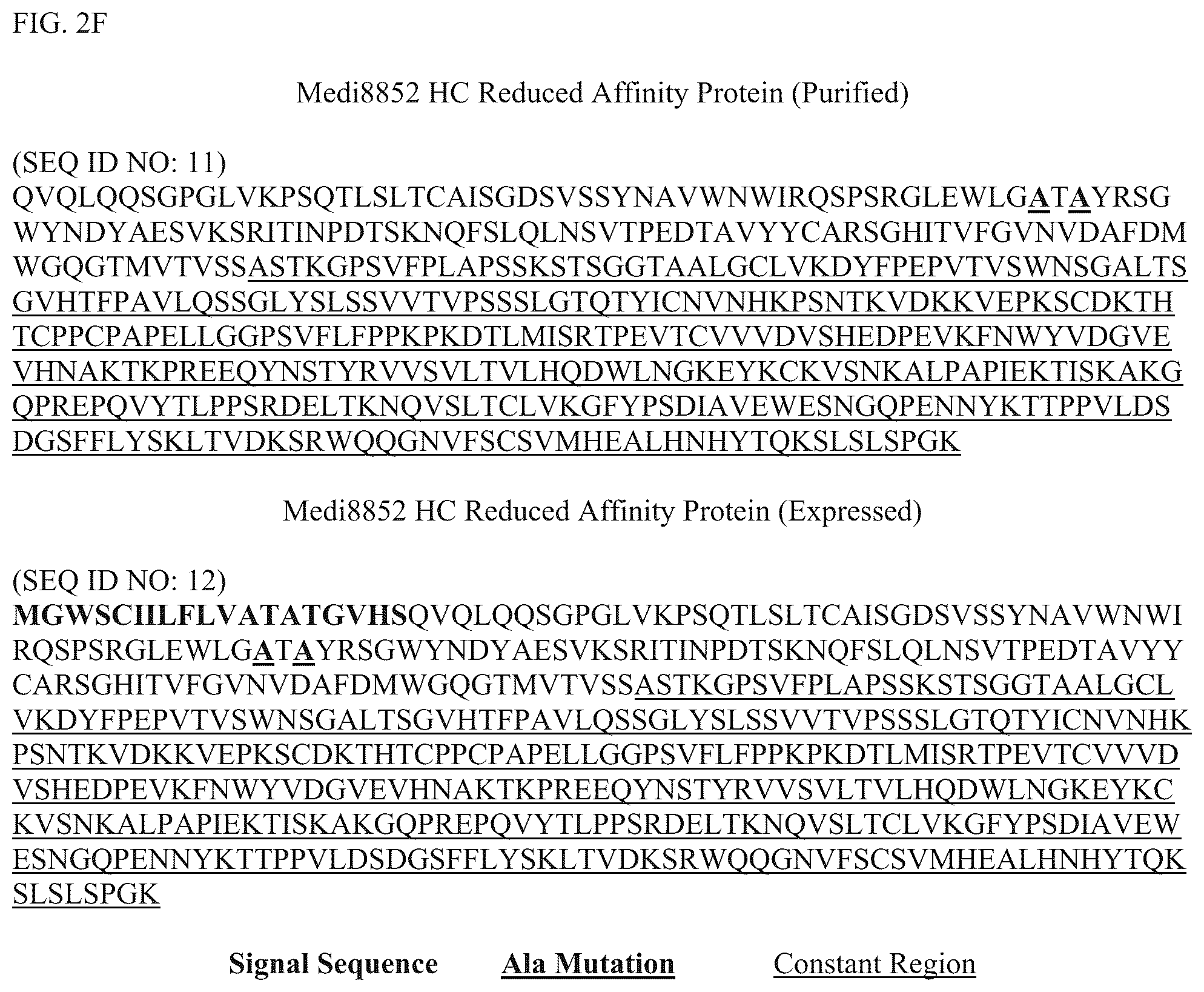 Patent US12304928 Figure 7 – Epitope restriction for antibody selection
