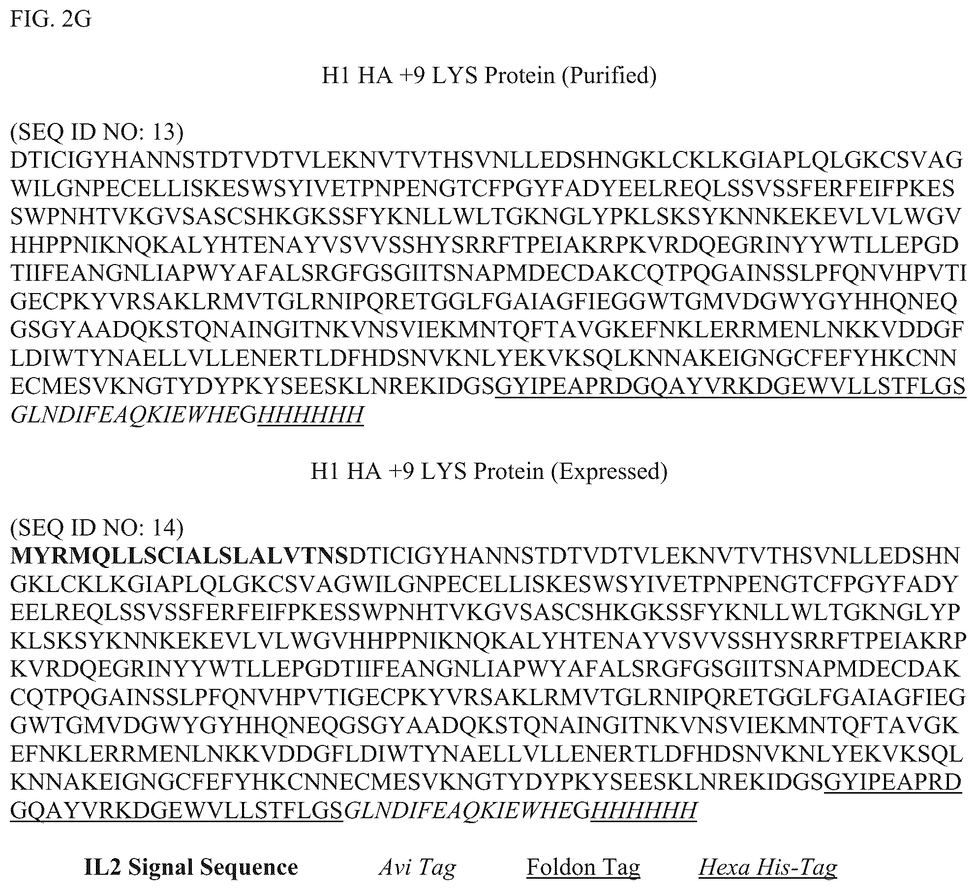 Patent US12304928 Figure 8 – Epitope restriction for antibody selection