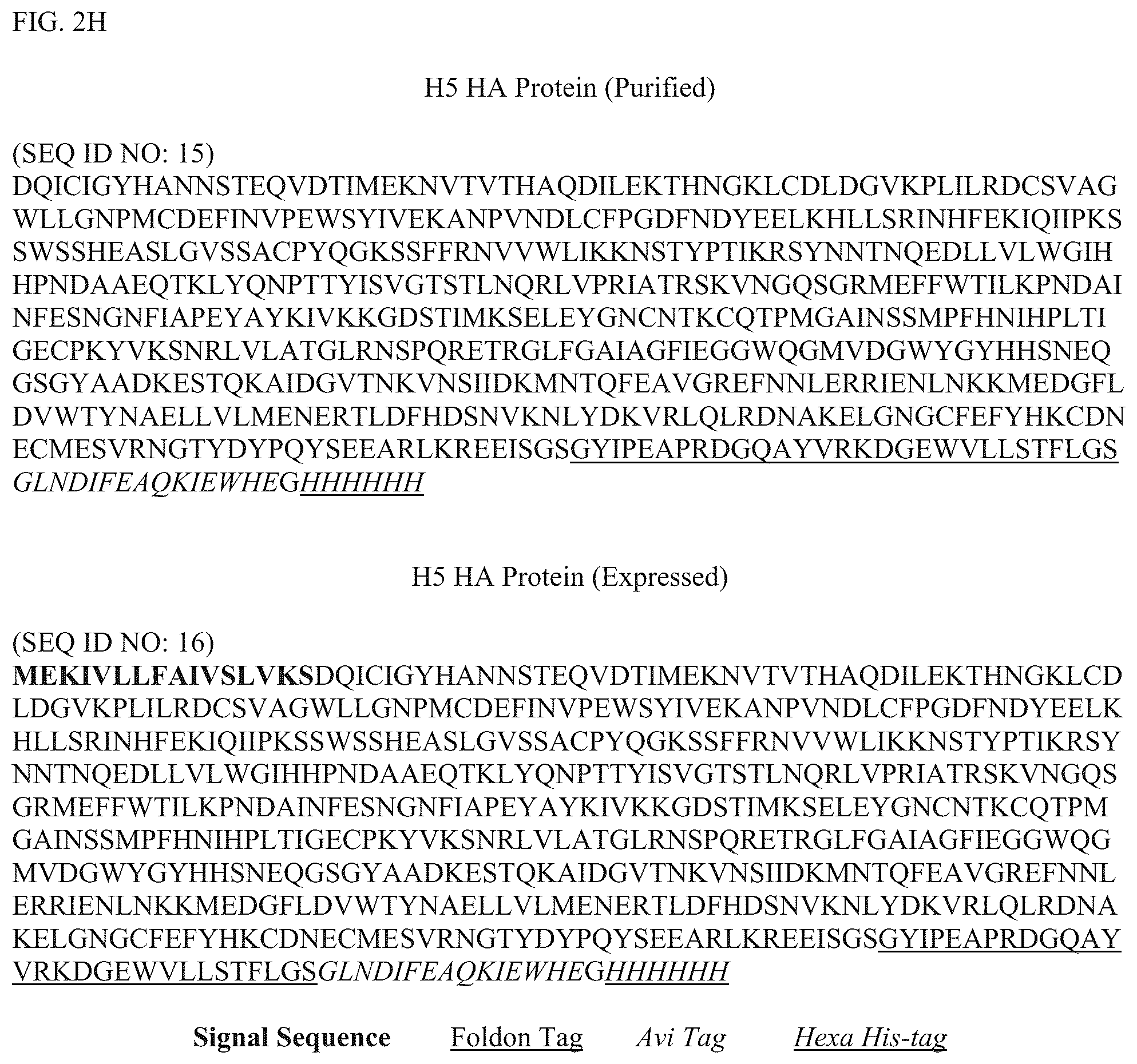 Patent US12304928 Figure 9 – Epitope restriction for antibody selection