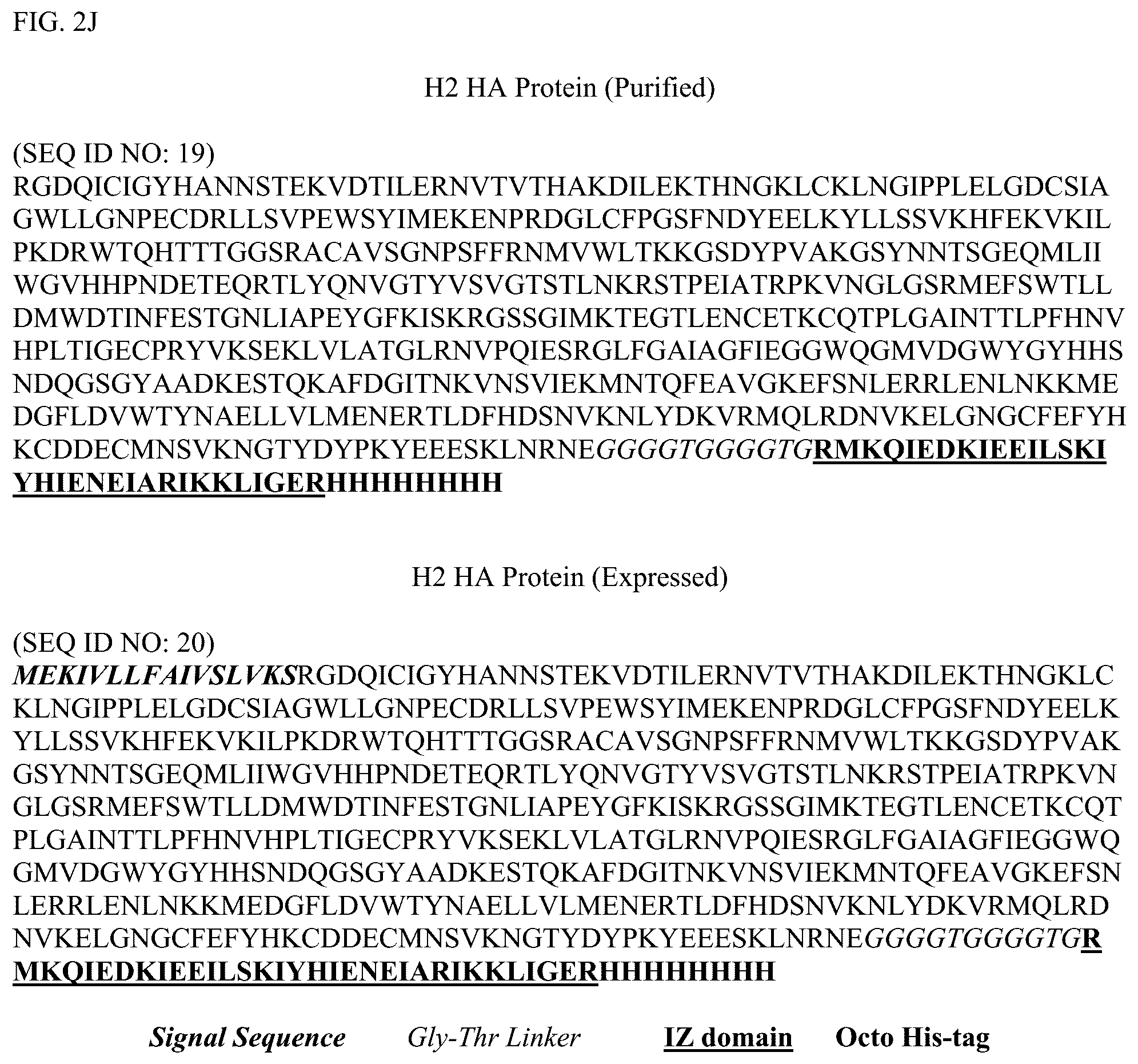 Patent US12304928 Figure 11 – Epitope restriction for antibody selection