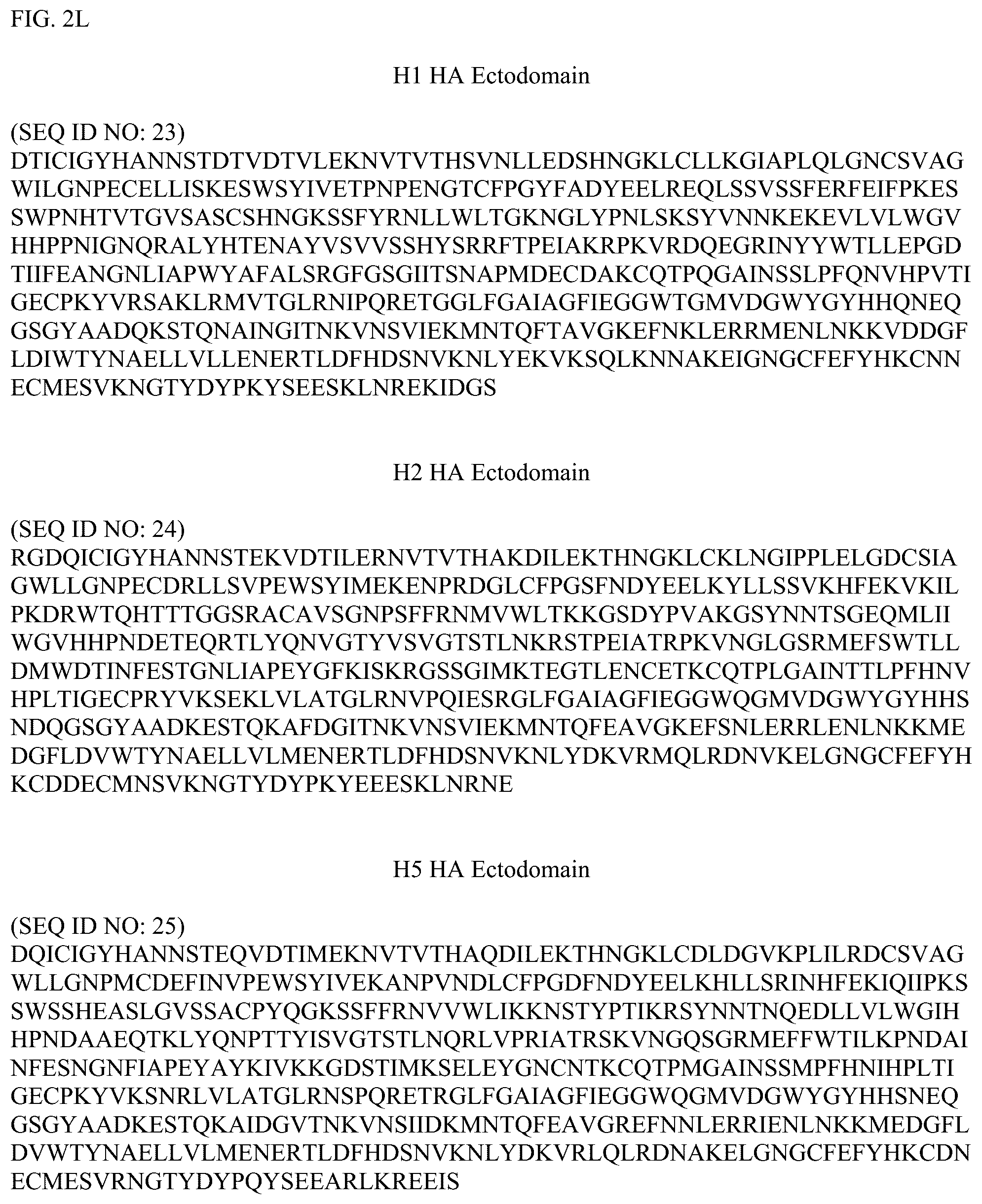Patent US12304928 Figure 13 – Epitope restriction for antibody selection