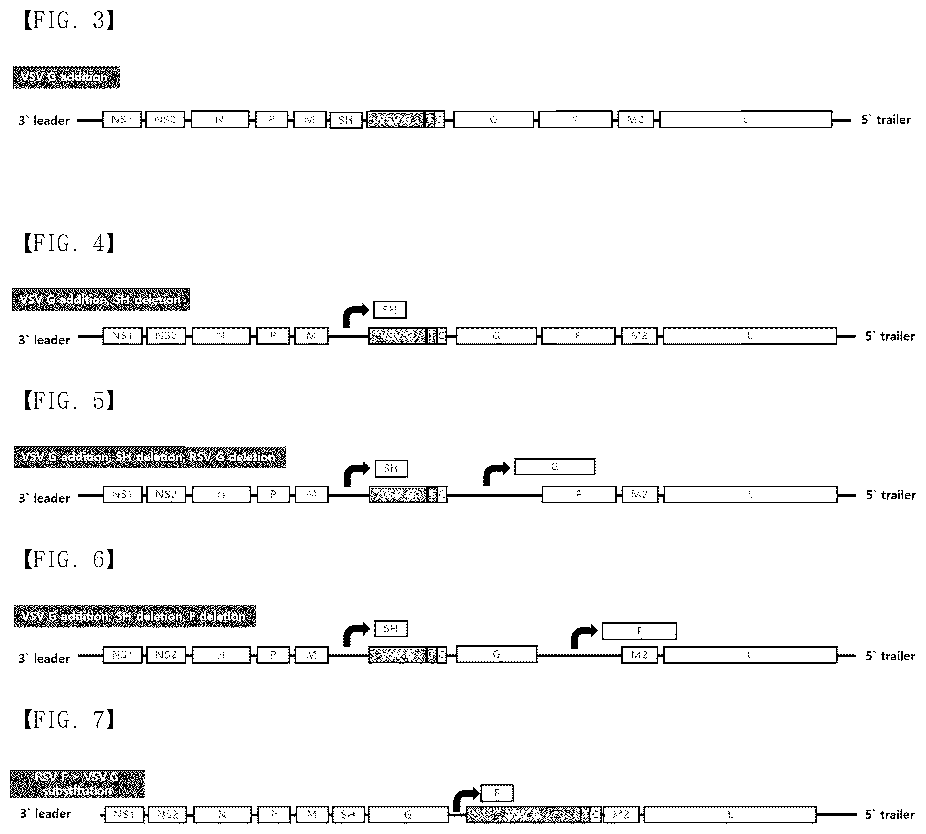 Patent US12304929 Figure 3 – Recombinant RSV live vaccine strain and the preparing method thereof