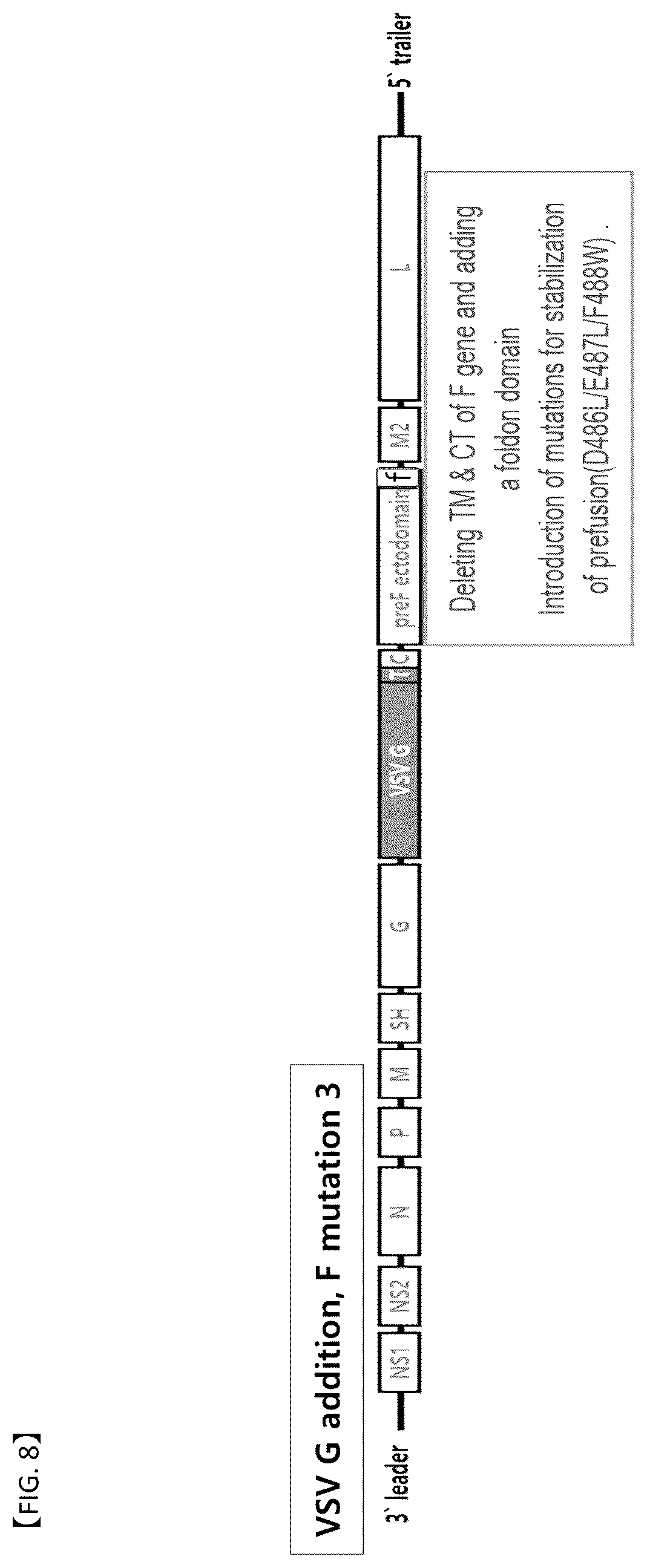 Patent US12304929 Figure 4 – Recombinant RSV live vaccine strain and the preparing method thereof
