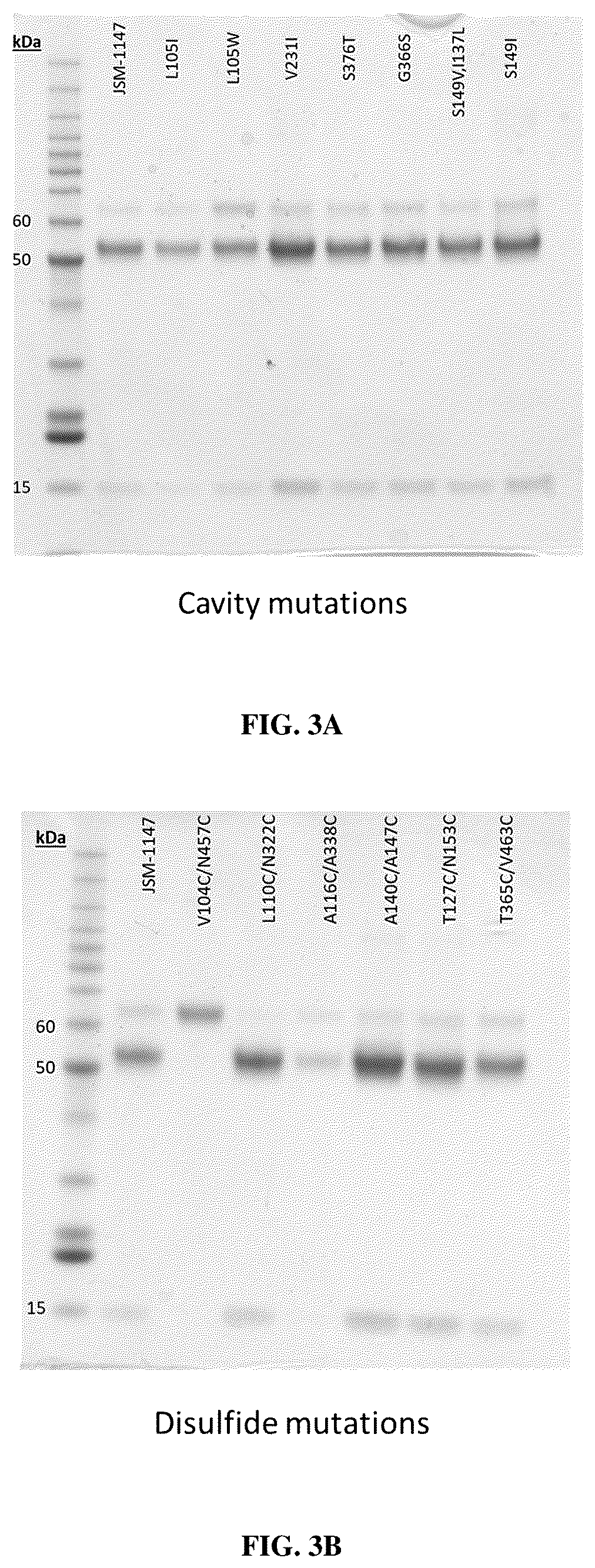 Patent US12304930 Figure 5 – Prefusion-stabilized hMPV F proteins