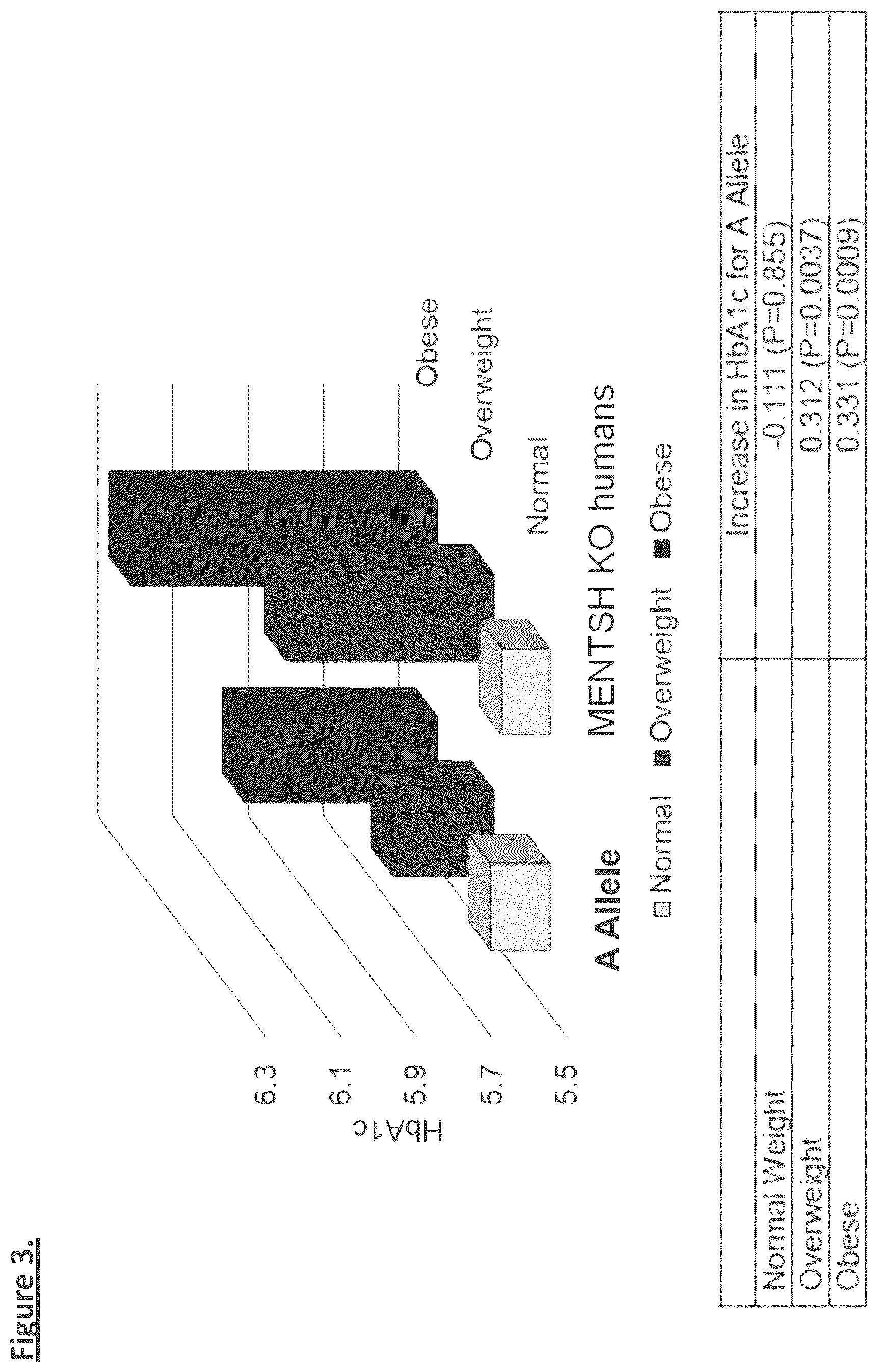 Patent US12304931 Figure 3 – MENTSH analogs as therapeutics for diabetes, obesity, and their associated diseases and complications