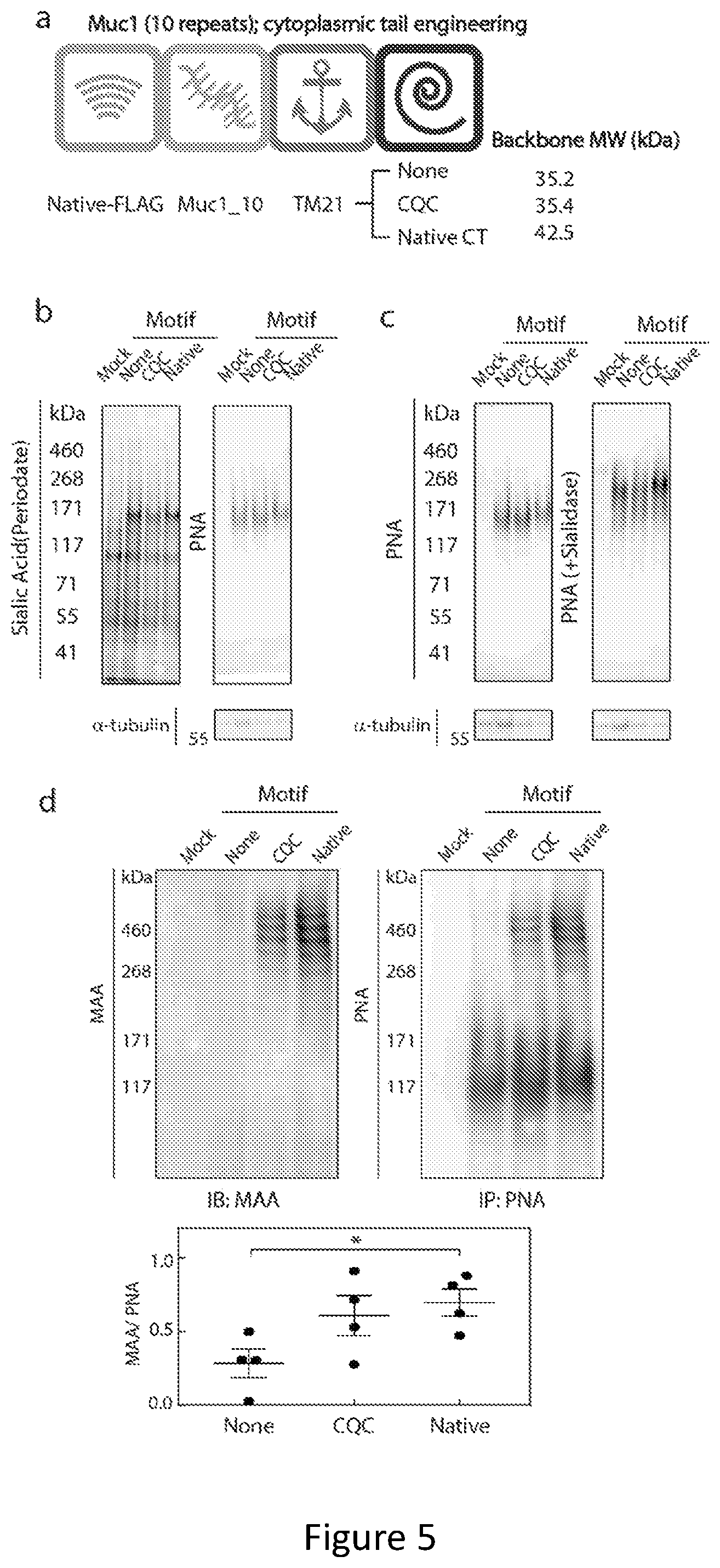 Patent US12304934 Figure 5 – Recombinant lubricins, and compositions and methods for using the same