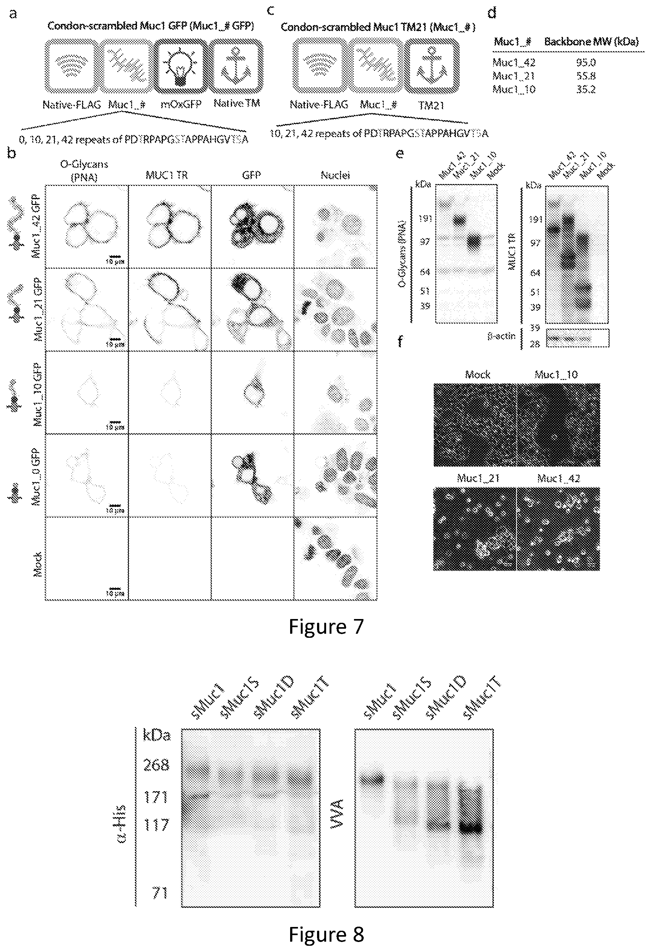 Patent US12304934 Figure 7 – Recombinant lubricins, and compositions and methods for using the same
