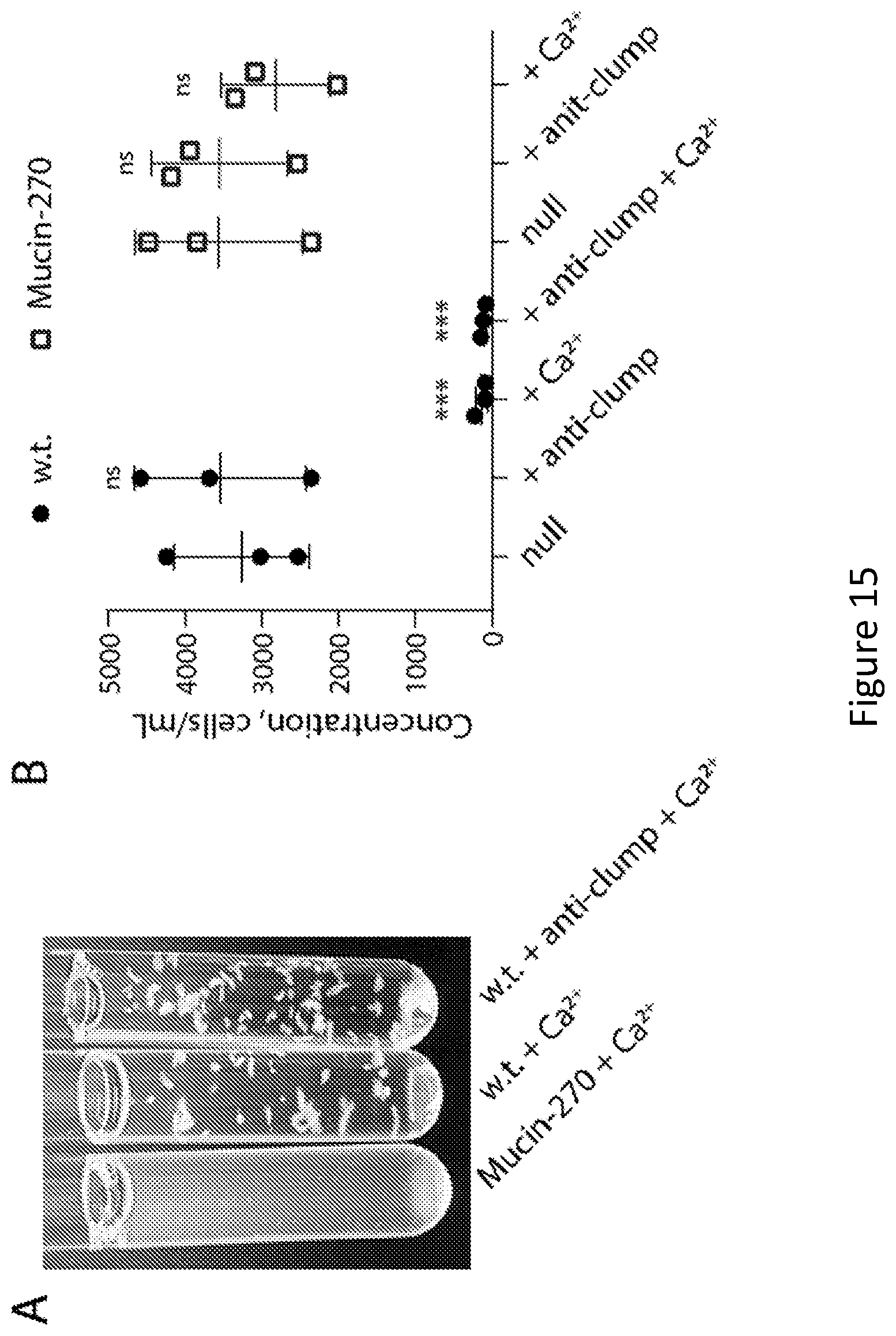Patent US12304934 Figure 14 – Recombinant lubricins, and compositions and methods for using the same