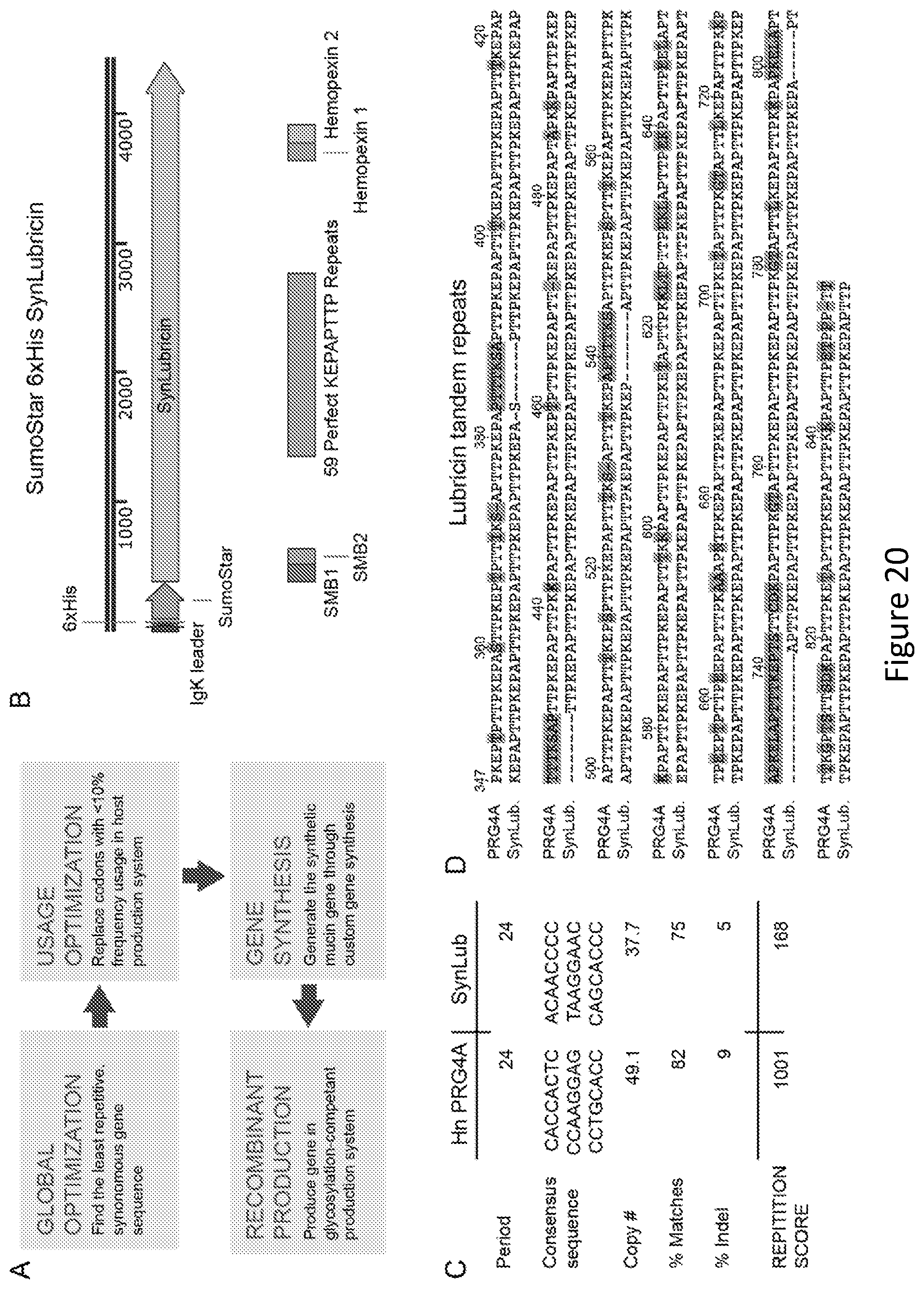 Patent US12304934 Figure 18 – Recombinant lubricins, and compositions and methods for using the same