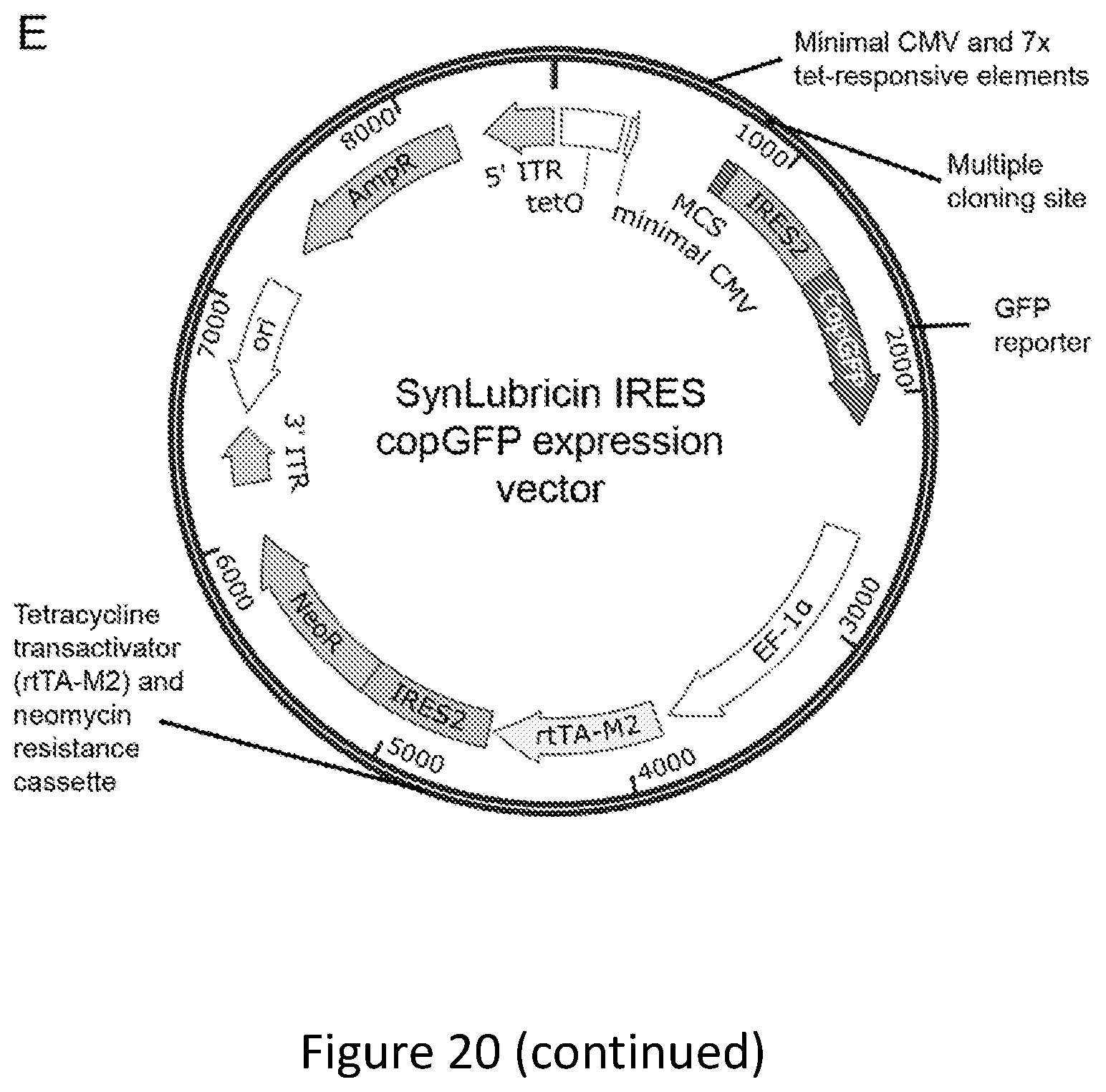 Patent US12304934 Figure 19 – Recombinant lubricins, and compositions and methods for using the same