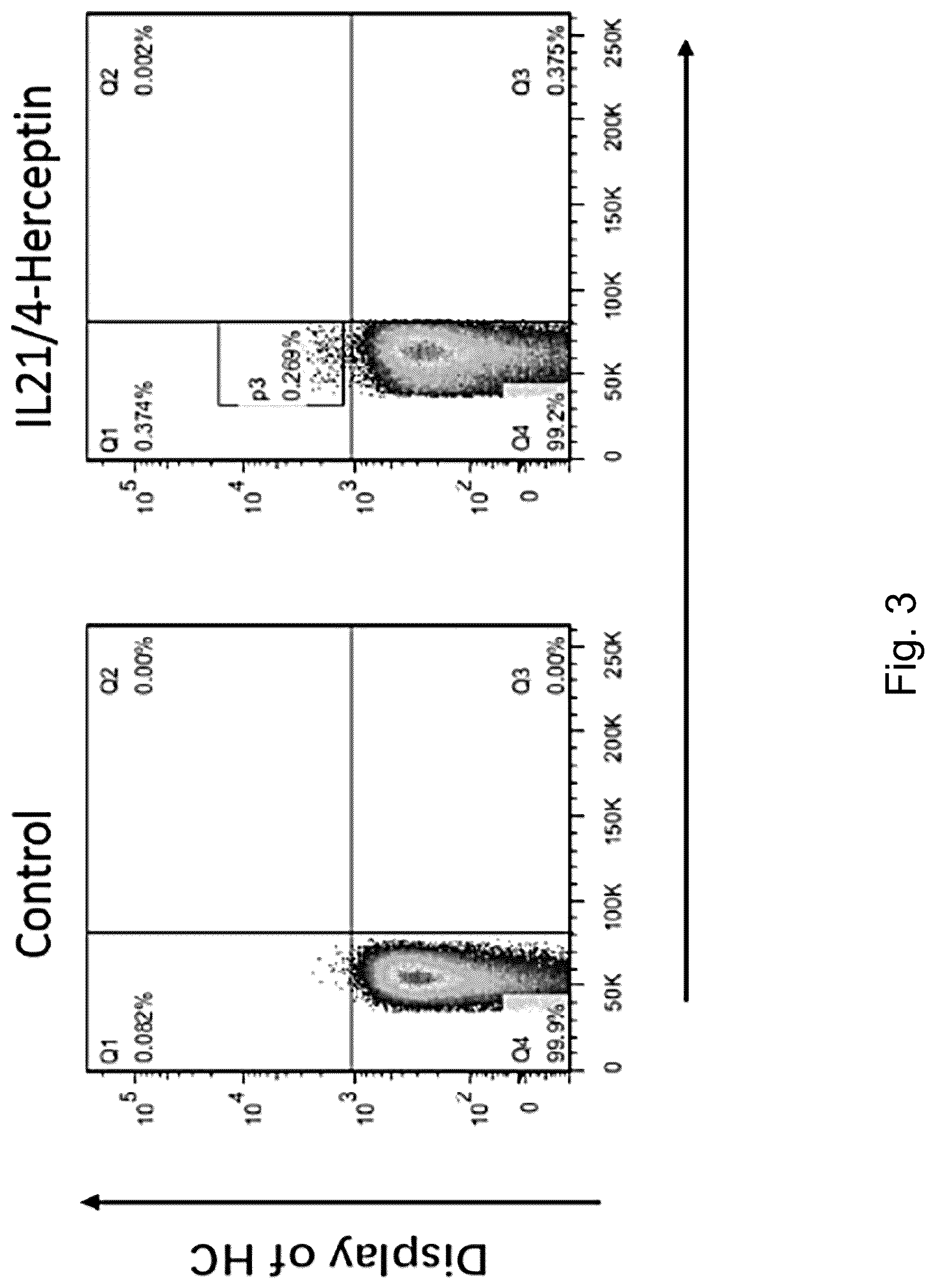 Patent US12304936 Figure 2 – Interleukin 21 protein (IL21) mutant and encoding nucleic acid