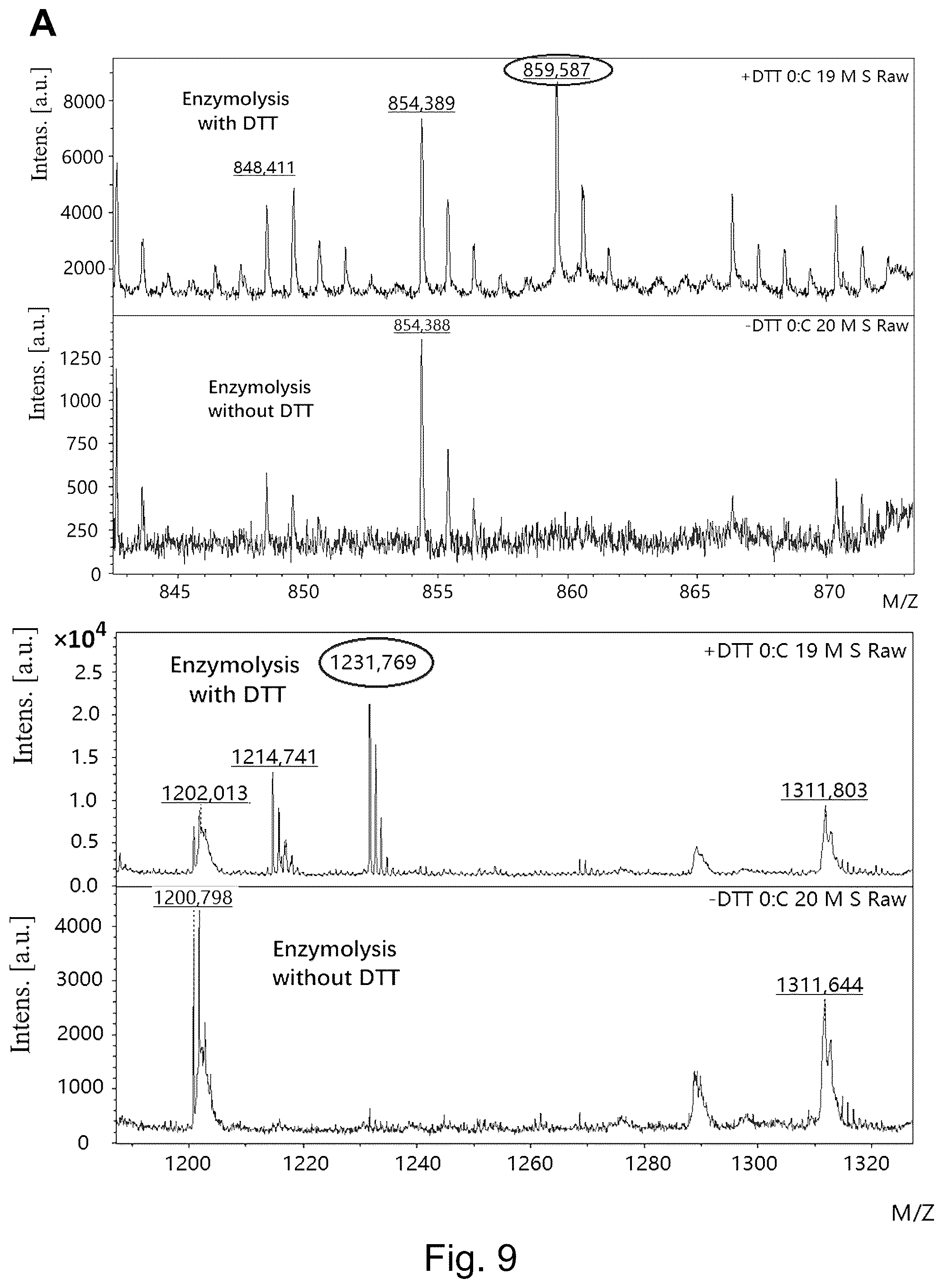 Patent US12304936 Figure 6 – Interleukin 21 protein (IL21) mutant and encoding nucleic acid