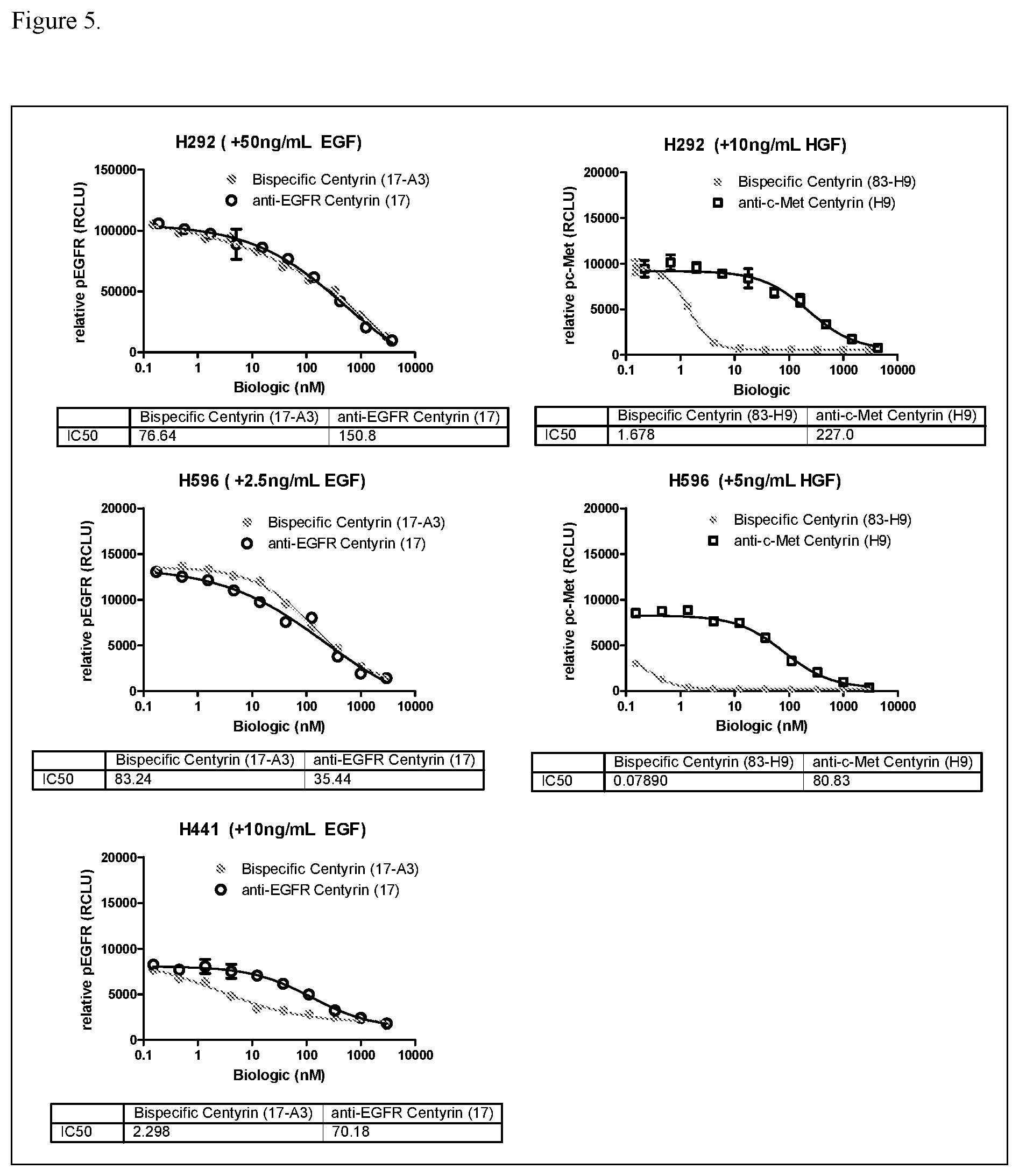 Patent US12304939 Figure 7 – EGFR and C-met fibronectin type III domain binding molecules