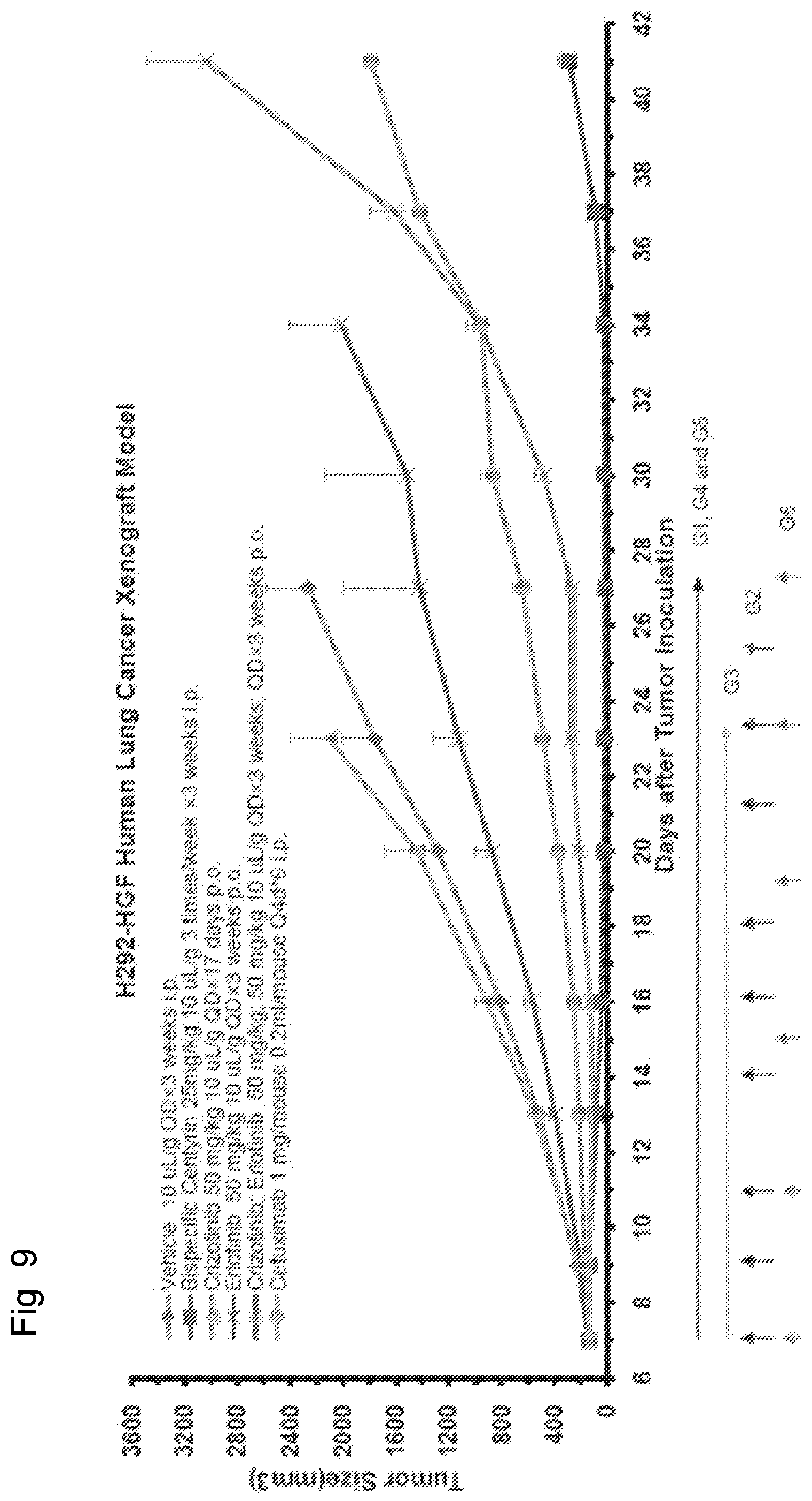 Patent US12304939 Figure 11 – EGFR and C-met fibronectin type III domain binding molecules