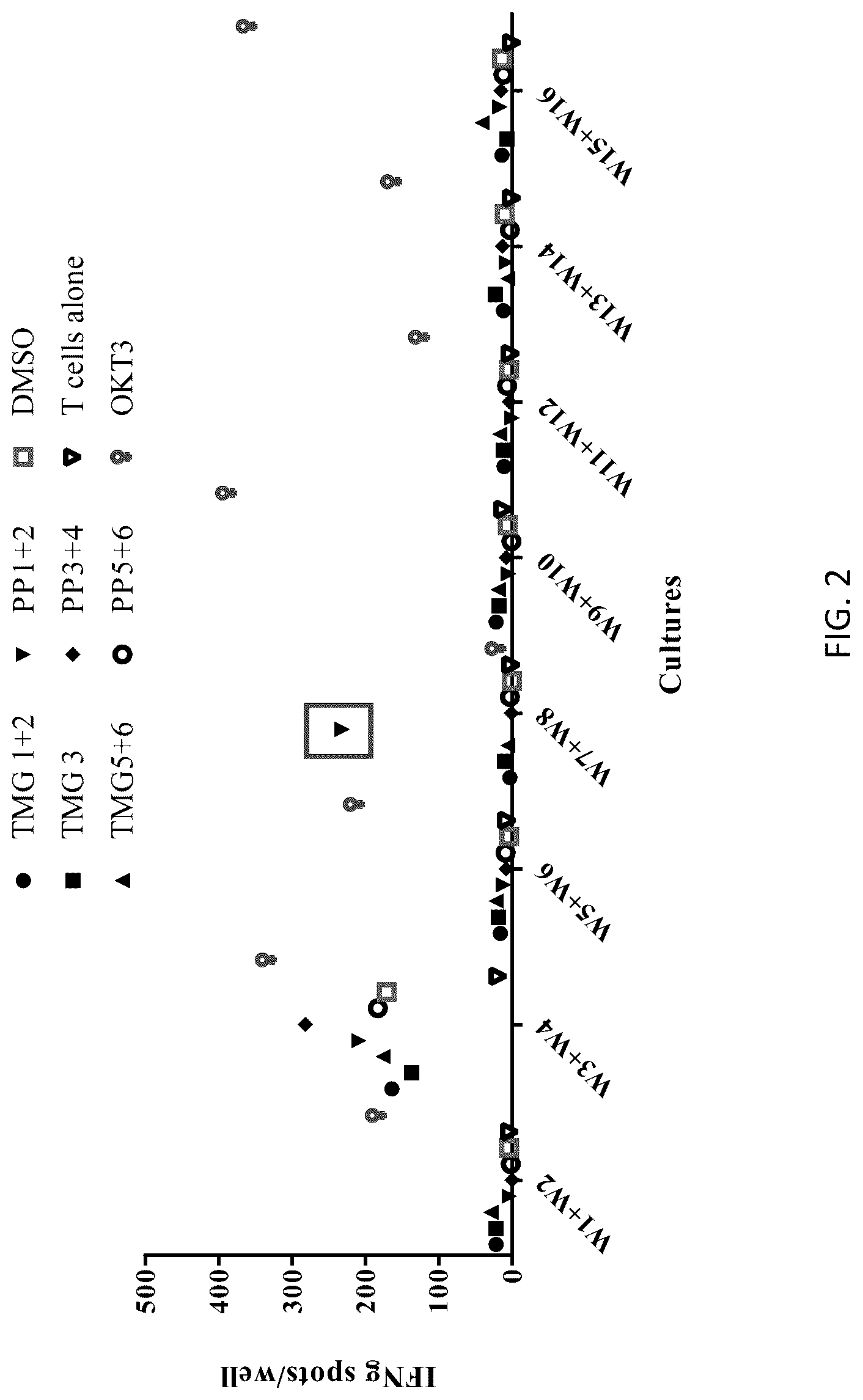 Patent US12304940 Figure 2 – HLA class II-restricted t cell receptors against mutated RAS