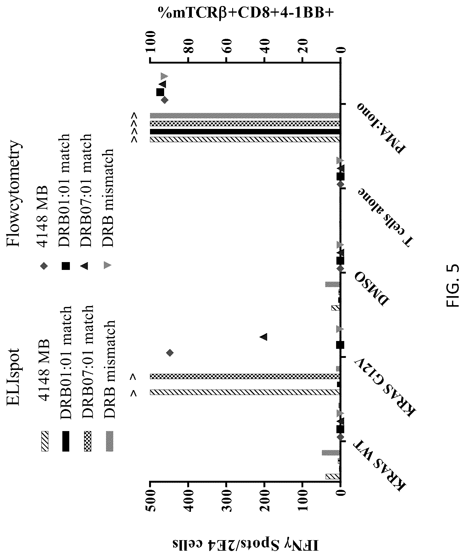 Patent US12304940 Figure 5 – HLA class II-restricted t cell receptors against mutated RAS