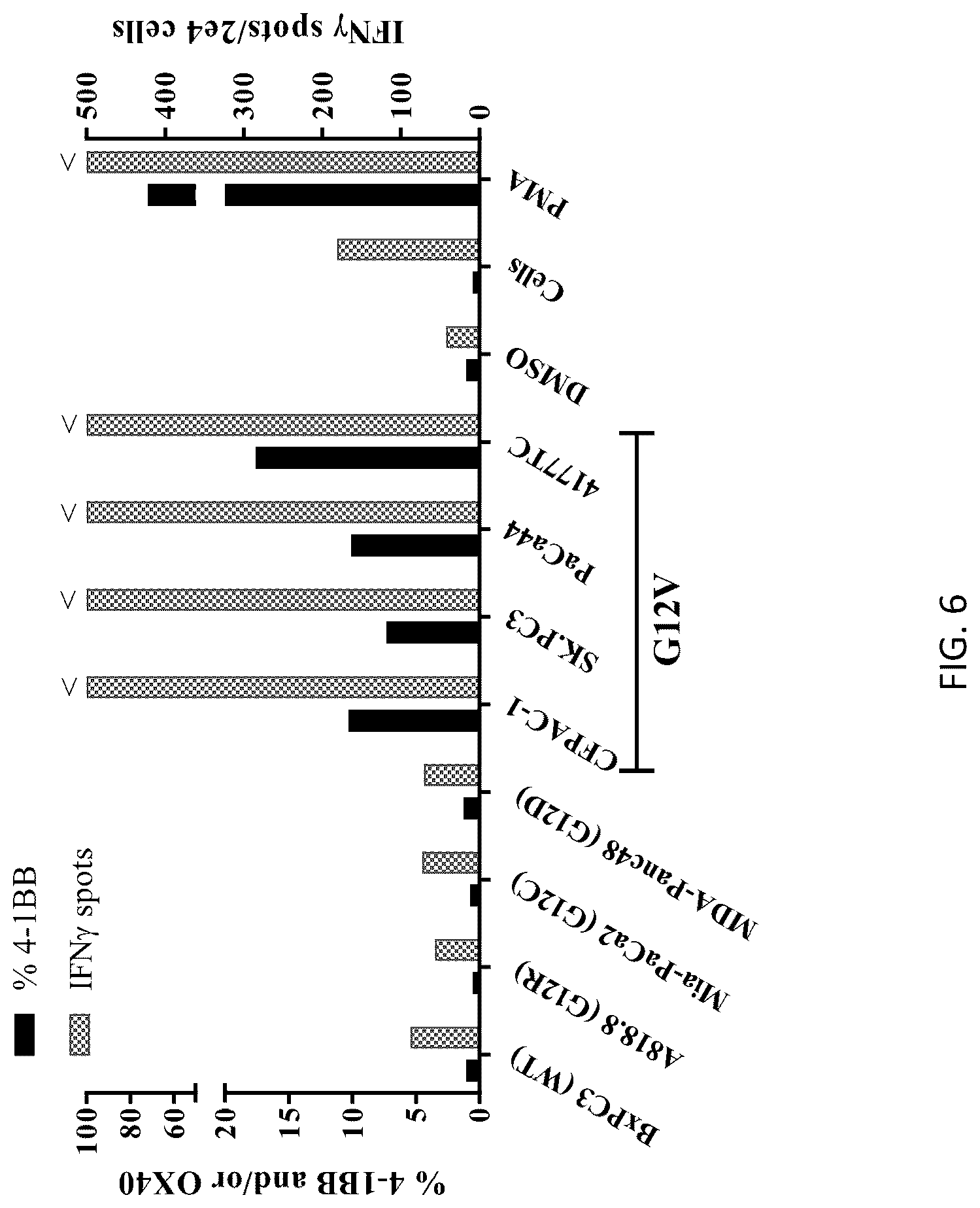 Patent US12304940 Figure 6 – HLA class II-restricted t cell receptors against mutated RAS