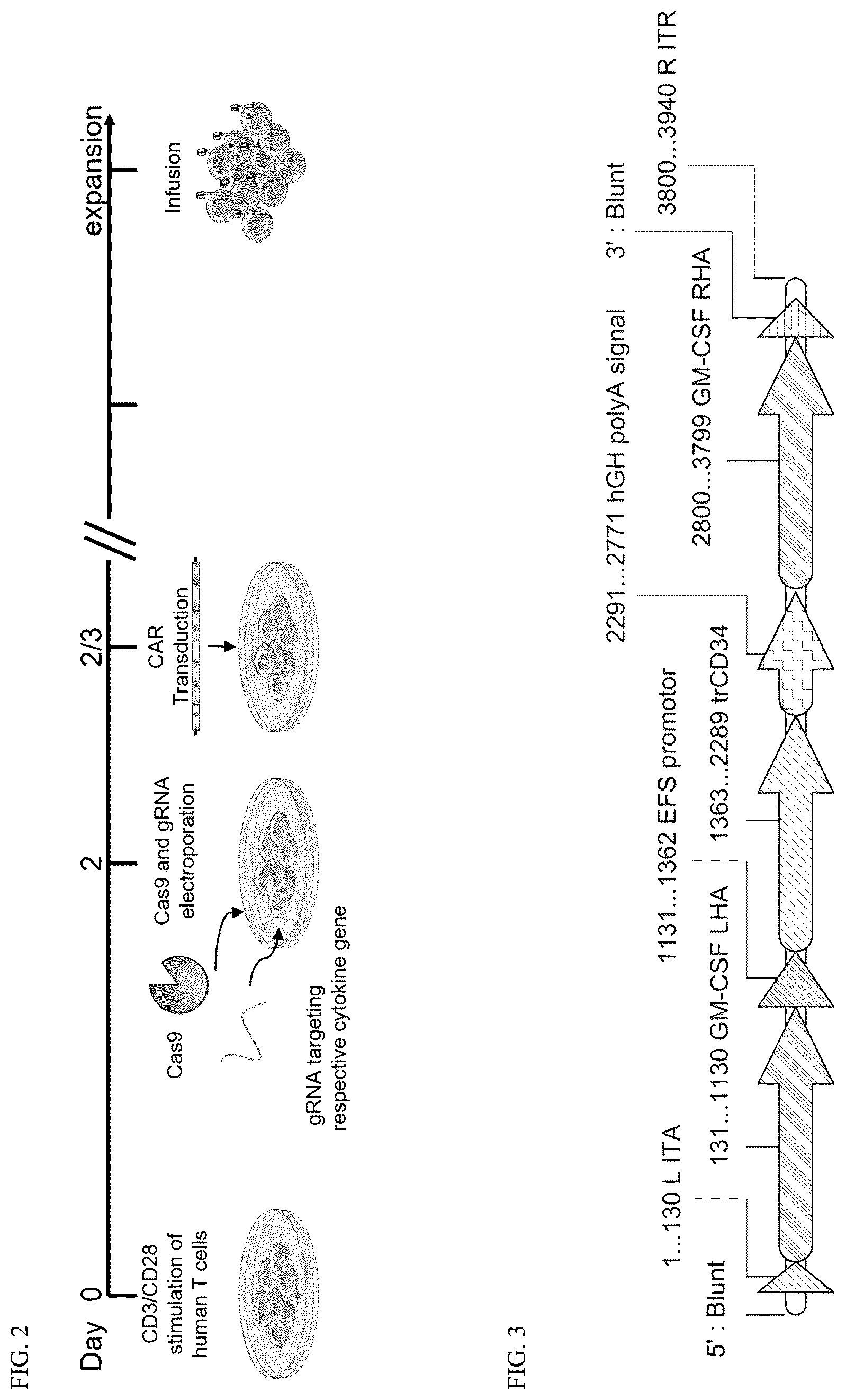 Patent US12304941 Figure 2 – Suppression of cytokine release syndrome in chimeric antigen receptor cell therapy