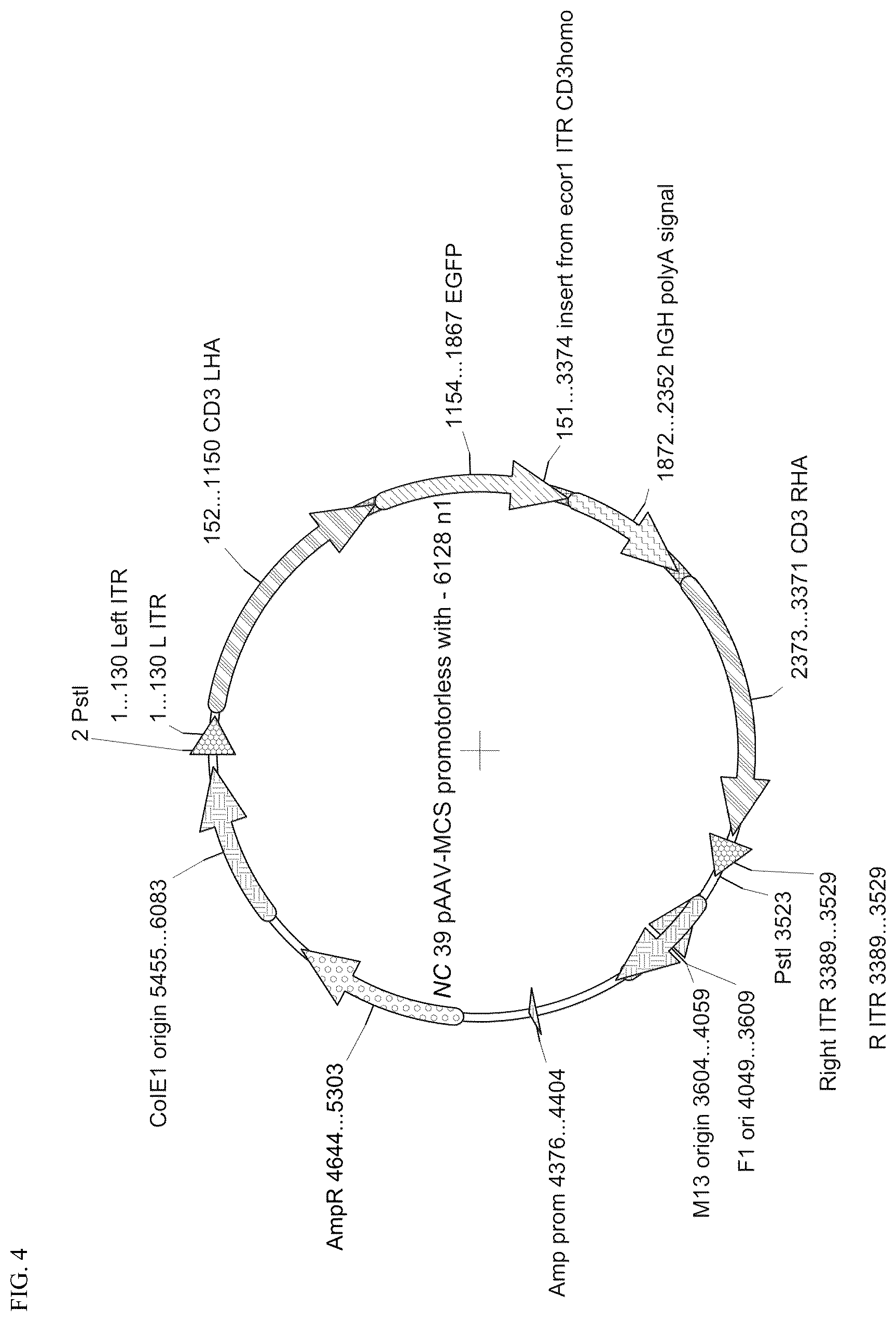 Patent US12304941 Figure 3 – Suppression of cytokine release syndrome in chimeric antigen receptor cell therapy