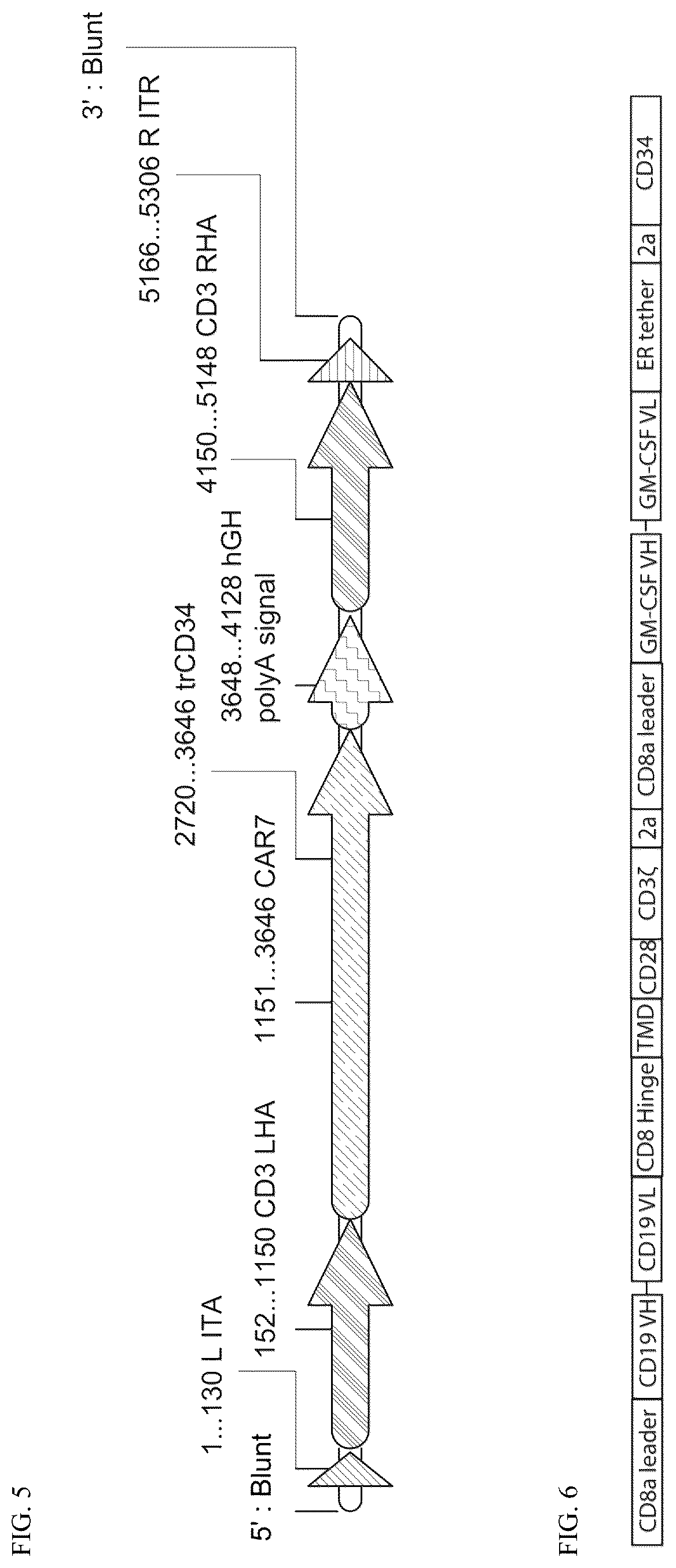 Patent US12304941 Figure 4 – Suppression of cytokine release syndrome in chimeric antigen receptor cell therapy