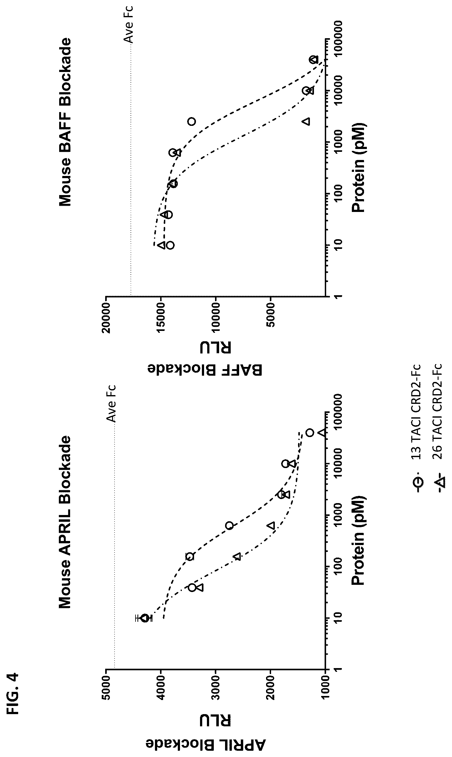 Patent US12304943 Figure 4 – April and BAFF inhibitory immunomodulatory proteins and methods of use thereof