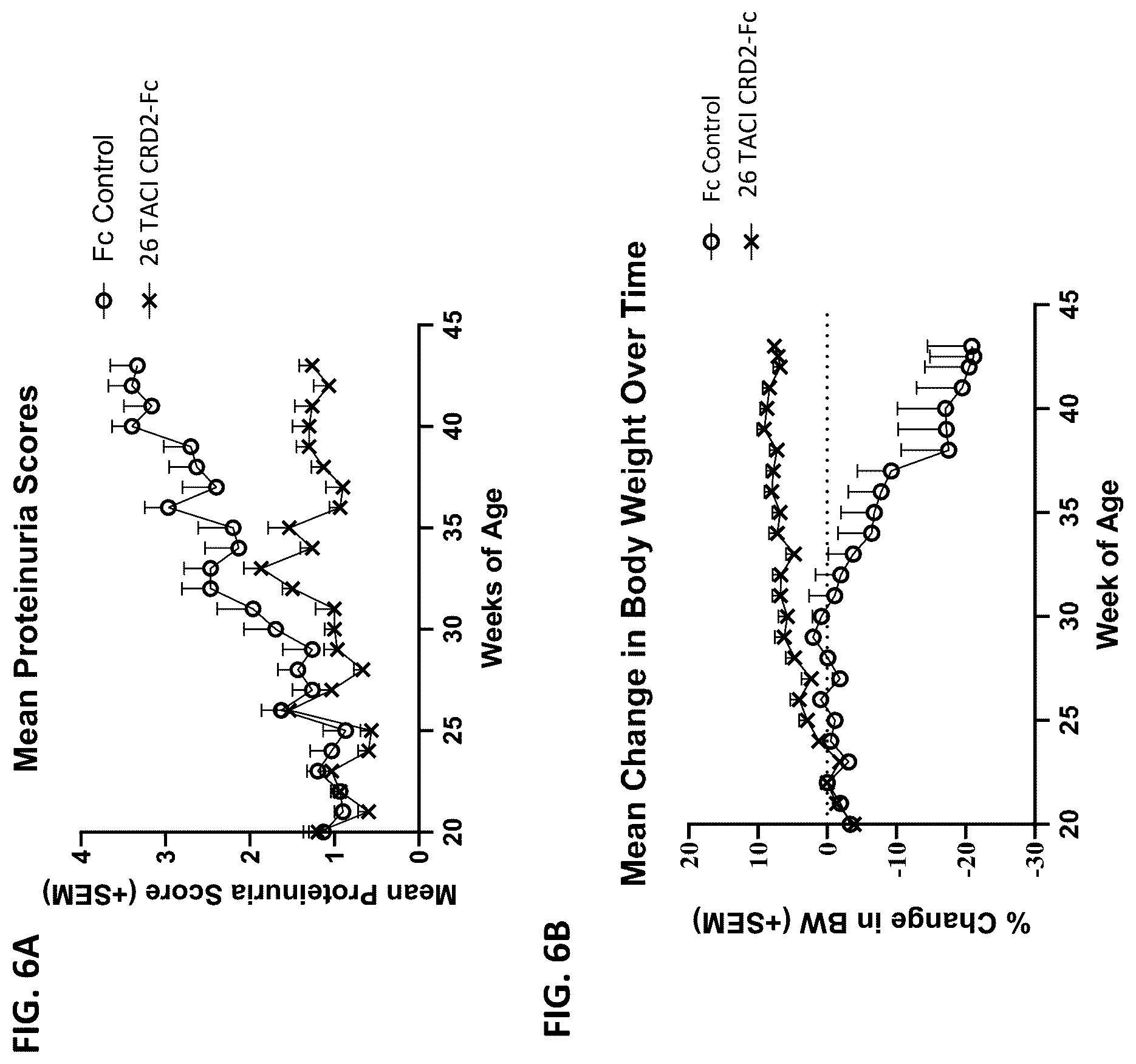Patent US12304943 Figure 6 – April and BAFF inhibitory immunomodulatory proteins and methods of use thereof