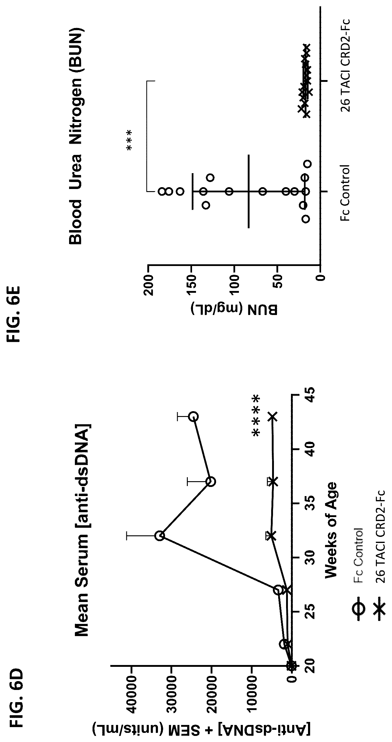 Patent US12304943 Figure 8 – April and BAFF inhibitory immunomodulatory proteins and methods of use thereof