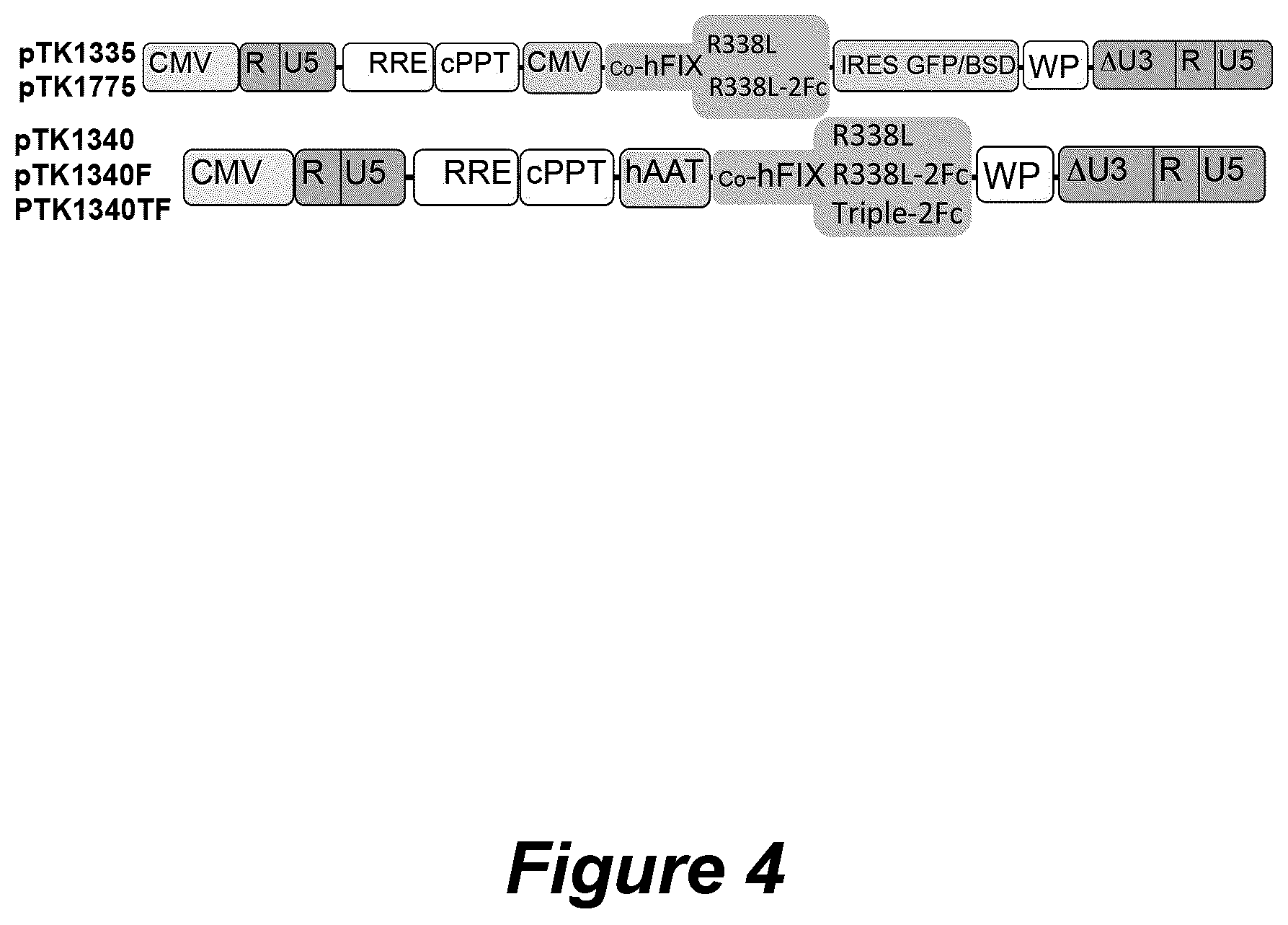 Patent US12304944 Figure 5 – Methods and compositions for modified factor IX fusion proteins