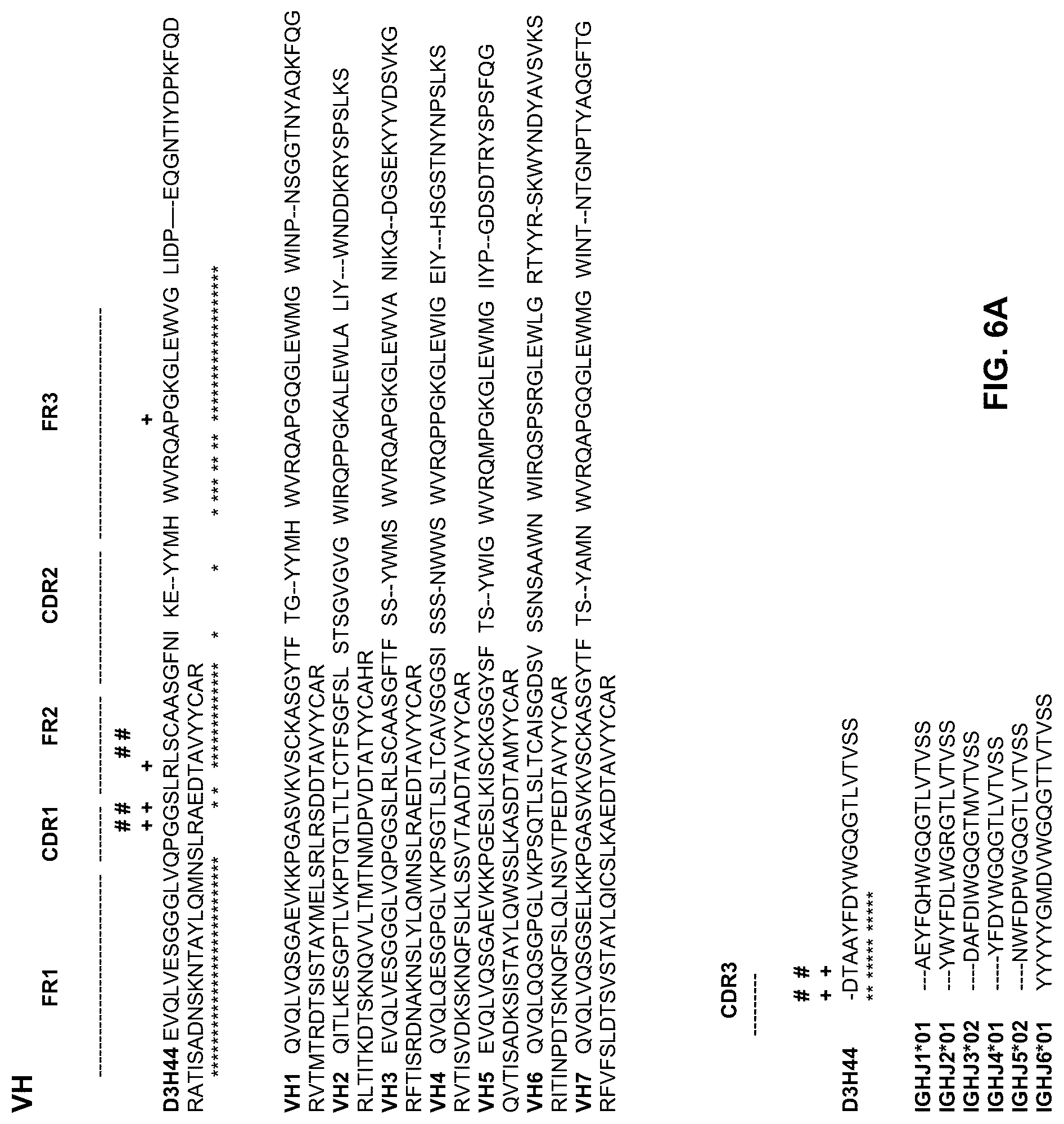 Patent US12304945 Figure 11 – Engineered immunoglobulin heavy chain-light chain pairs and uses thereof