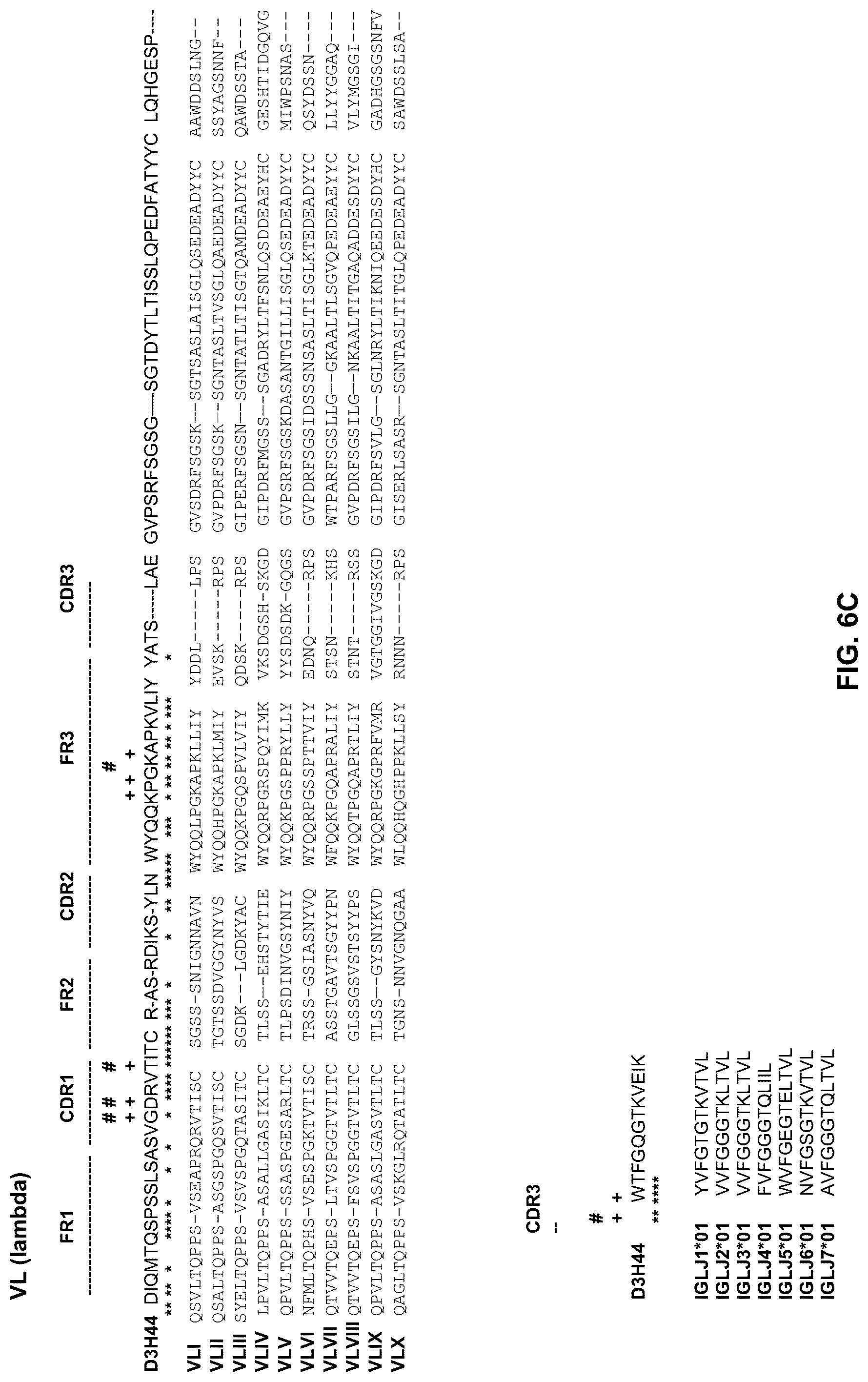 Patent US12304945 Figure 13 – Engineered immunoglobulin heavy chain-light chain pairs and uses thereof